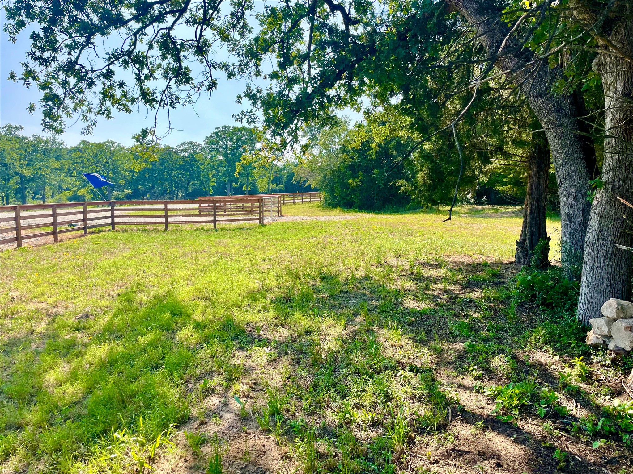 9264 Stetson Drive Property Photo 8