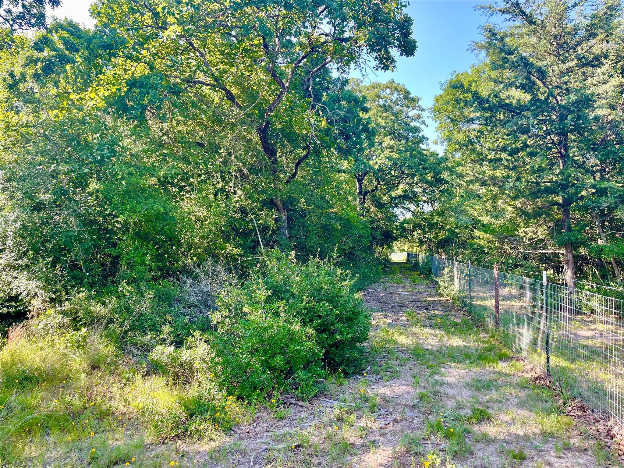 9264 Stetson Drive Property Photo 10