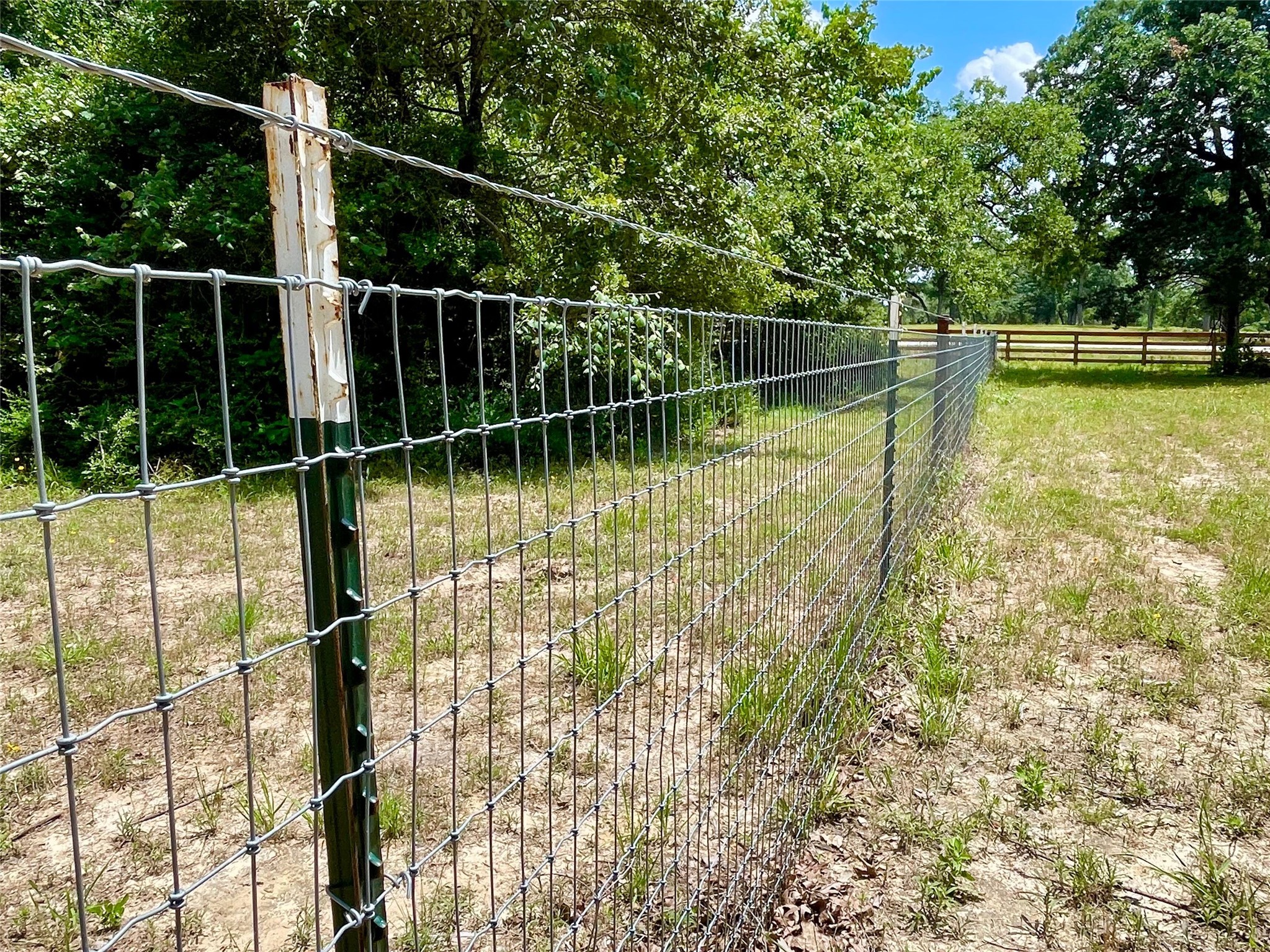 9264 Stetson Drive Property Photo 12