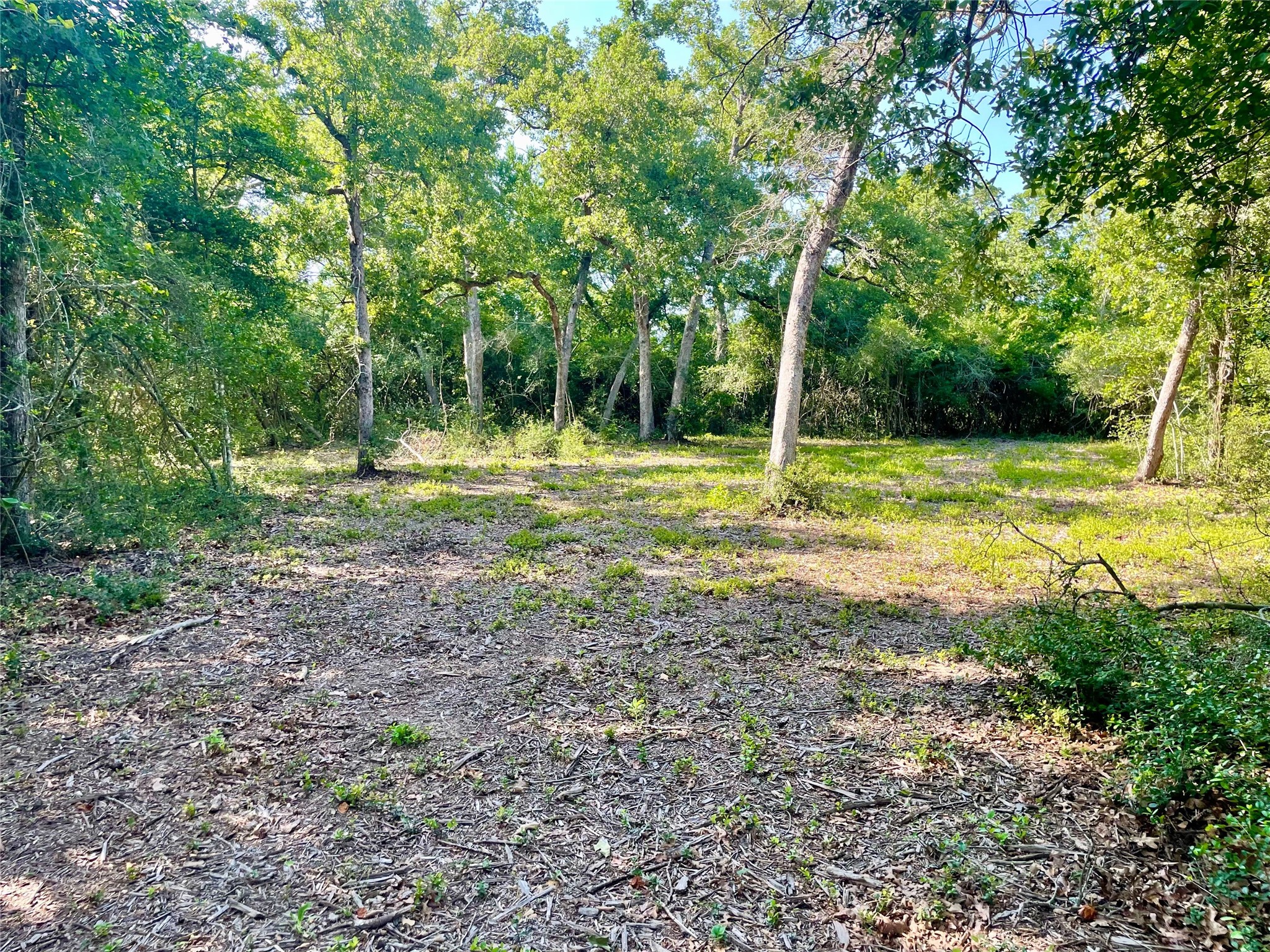9264 Stetson Drive Property Photo 16