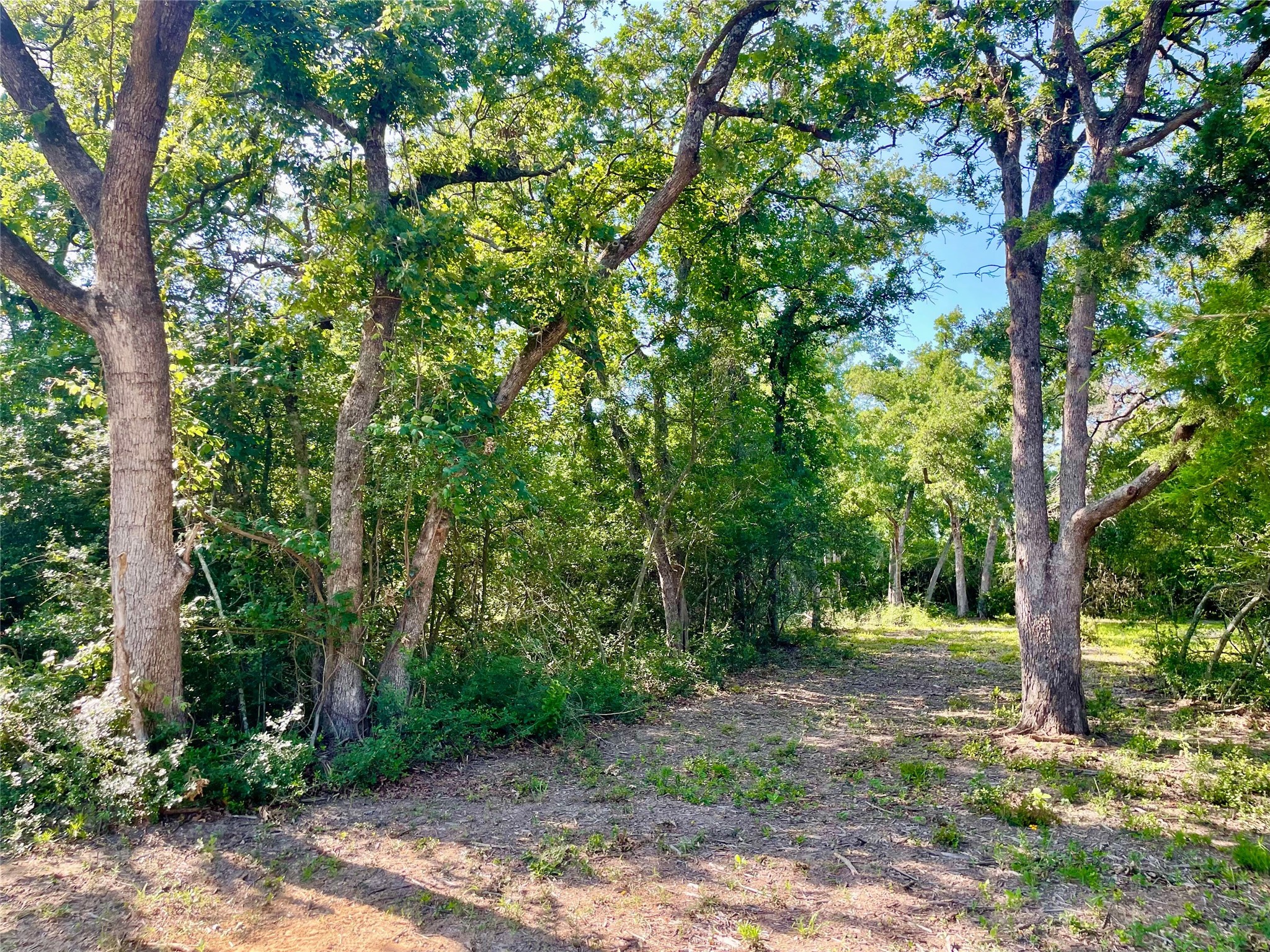 9264 Stetson Drive Property Photo 18