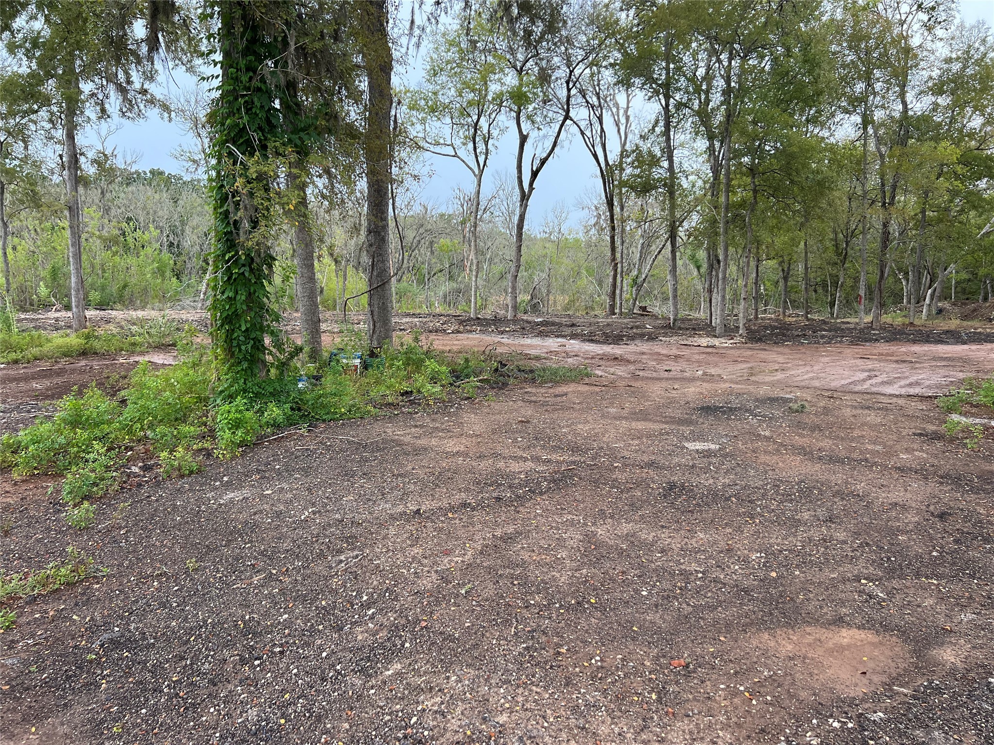 0 Knights Road Property Photo 2