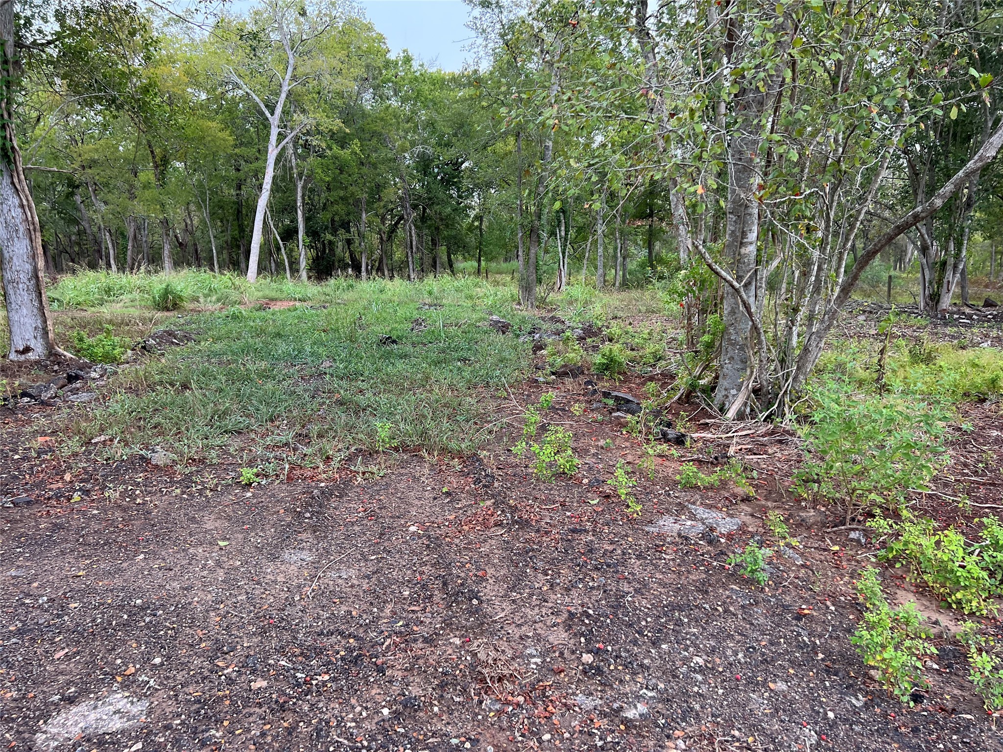 0 Knights Road Property Photo 5