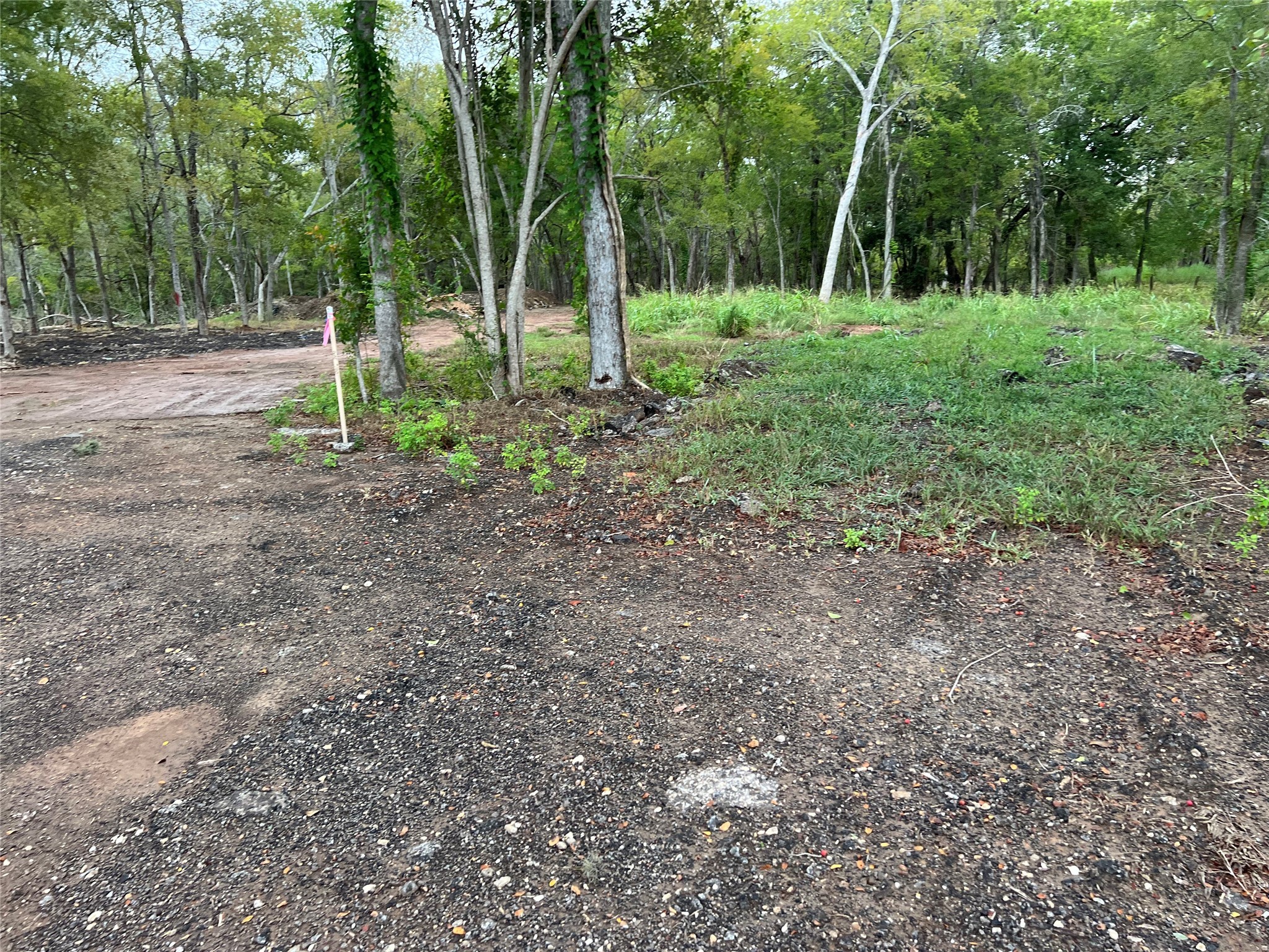 0 Knights Road Property Photo 7