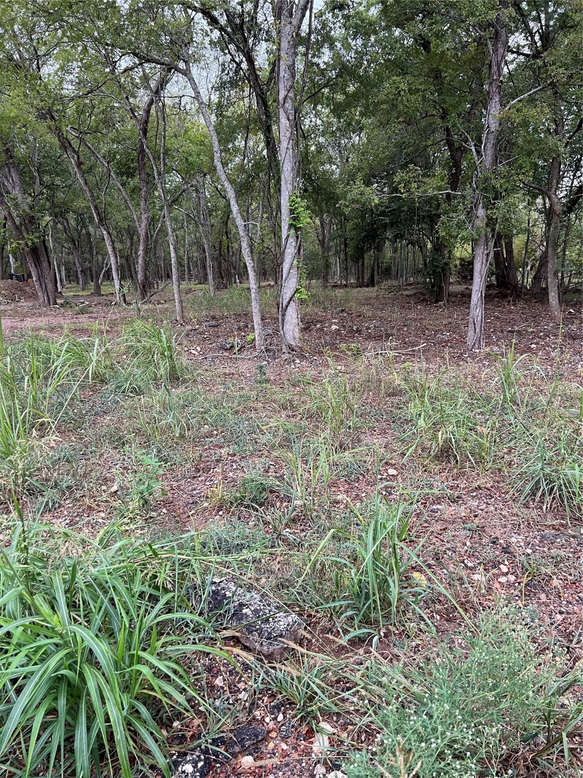 0 Knights Road Property Photo 8