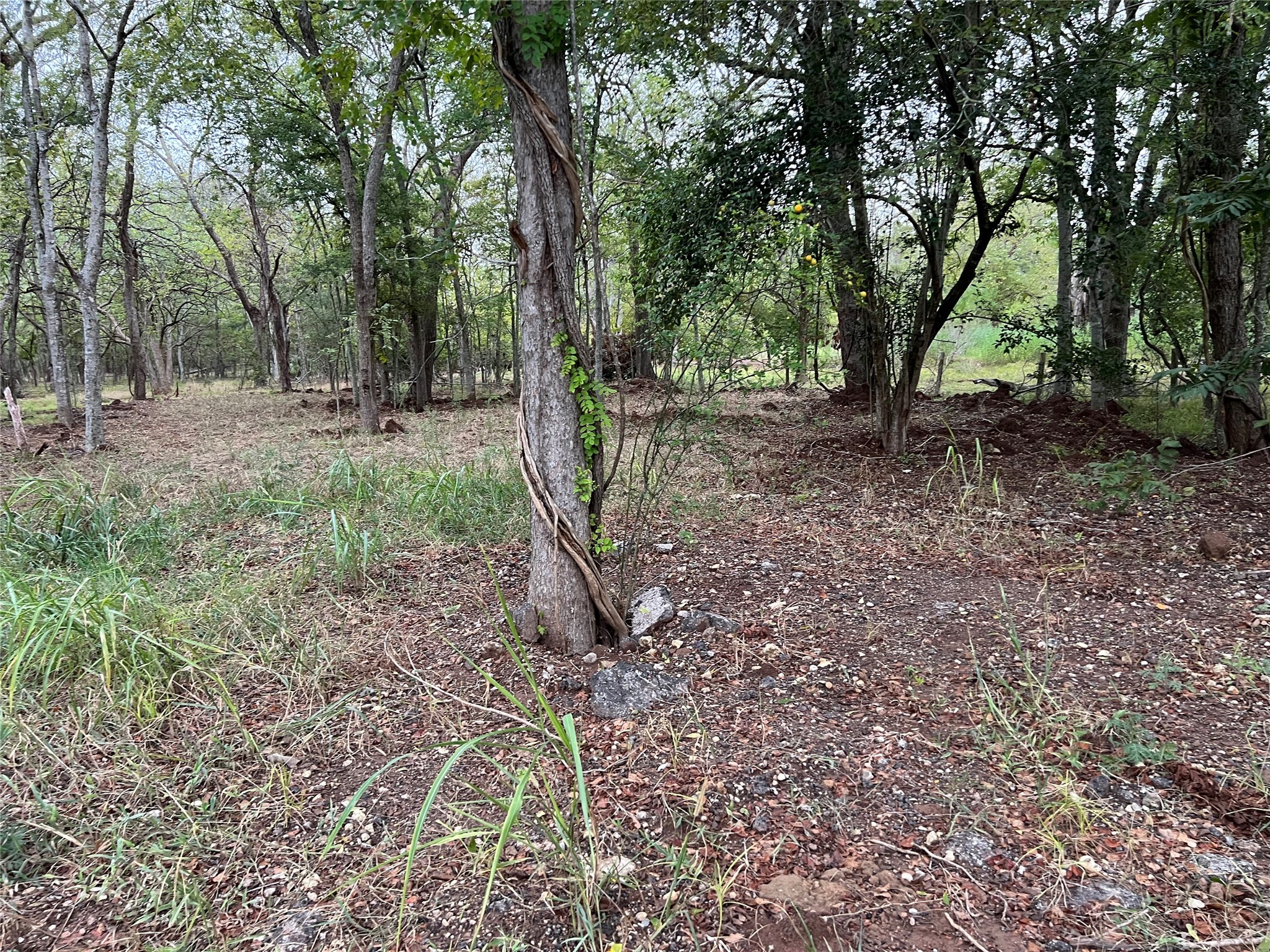 0 Knights Road Property Photo 9