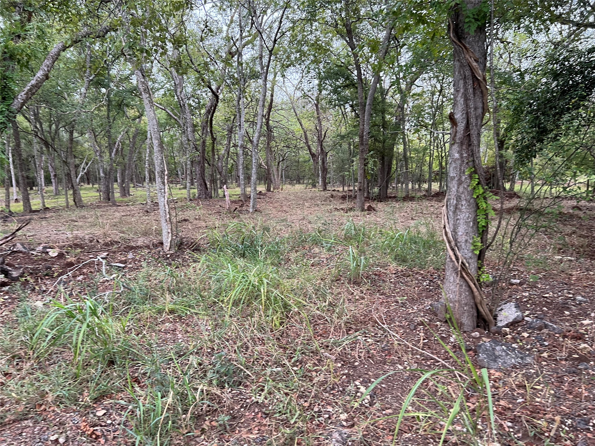 0 Knights Road Property Photo 10