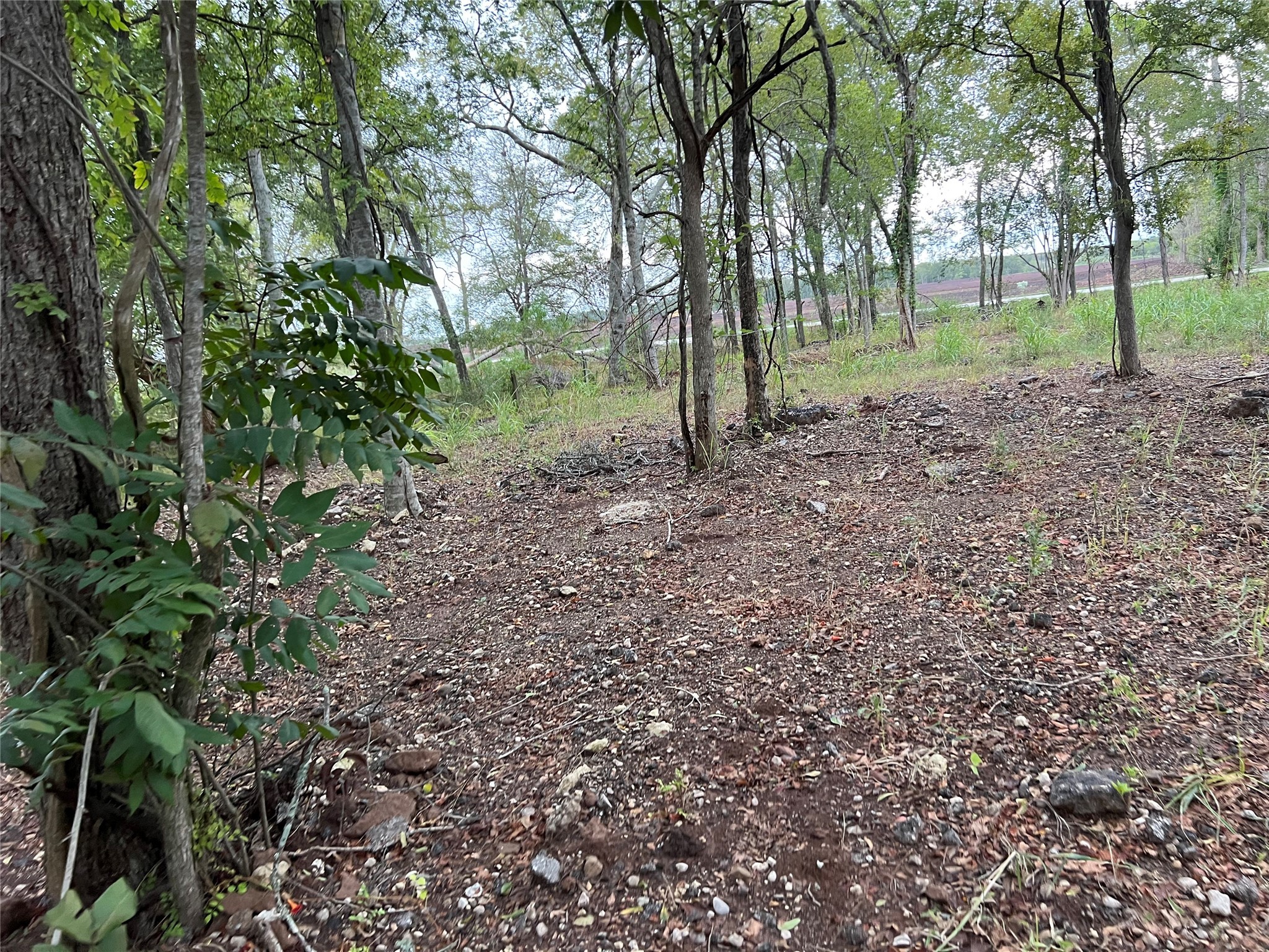 0 Knights Road Property Photo 12