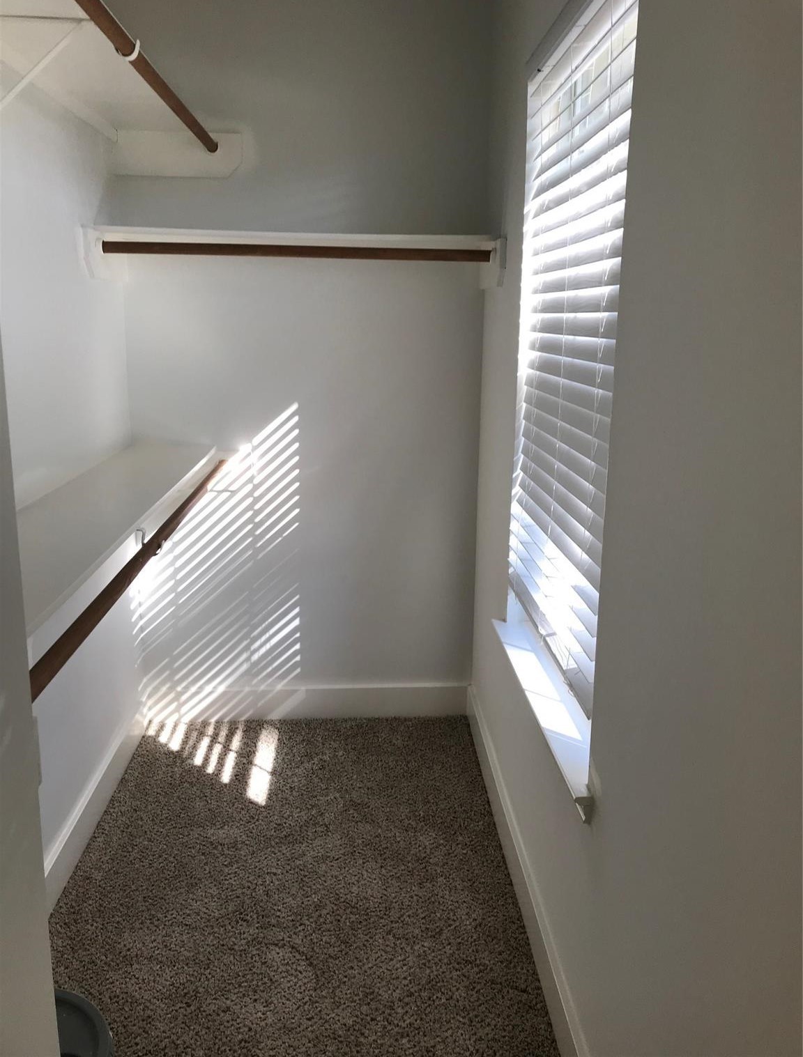 6118 Spruce Bough Court Property Photo 11