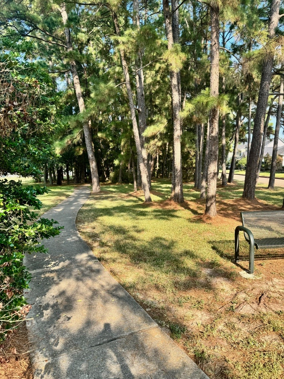 6118 Spruce Bough Court Property Photo 22