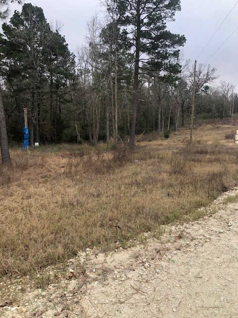 736 Private Road 1284 Road Property Photo 4
