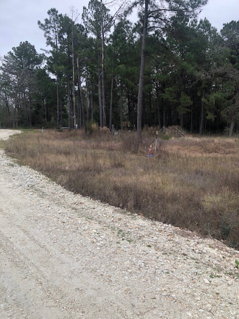736 Private Road 1284 Road Property Photo 6
