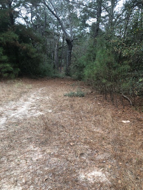 736 Private Road 1284 Road Property Photo 7