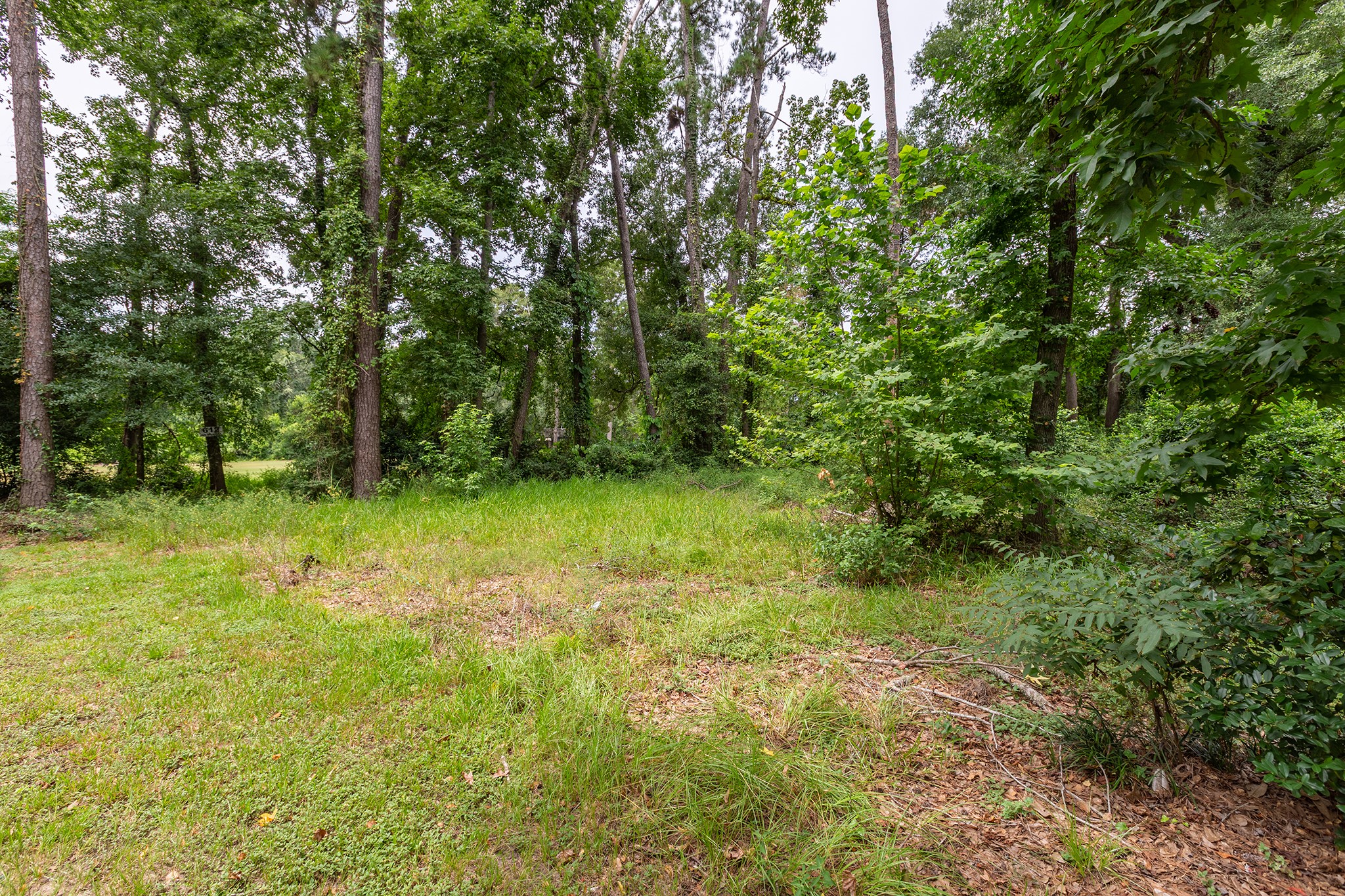 135 Jeb Stuart Lane Property Photo 15