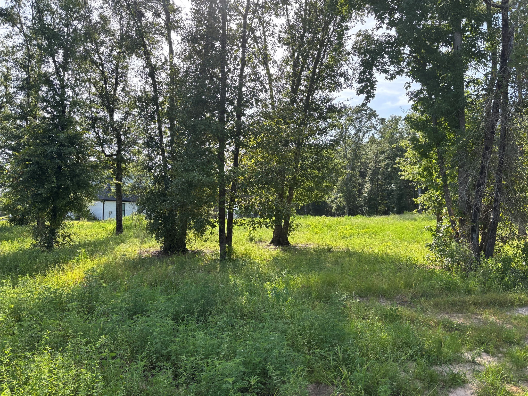 50 Quiet Springs Trail Property Photo 2