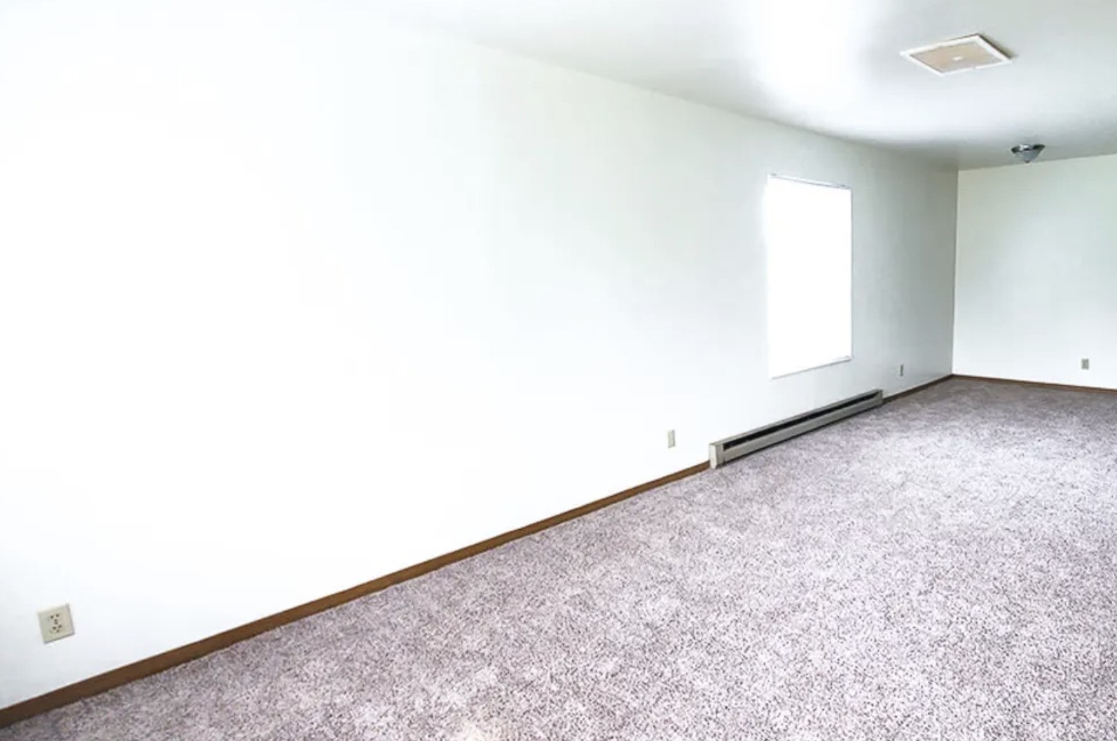10 Surrey Lane Property Photo 5