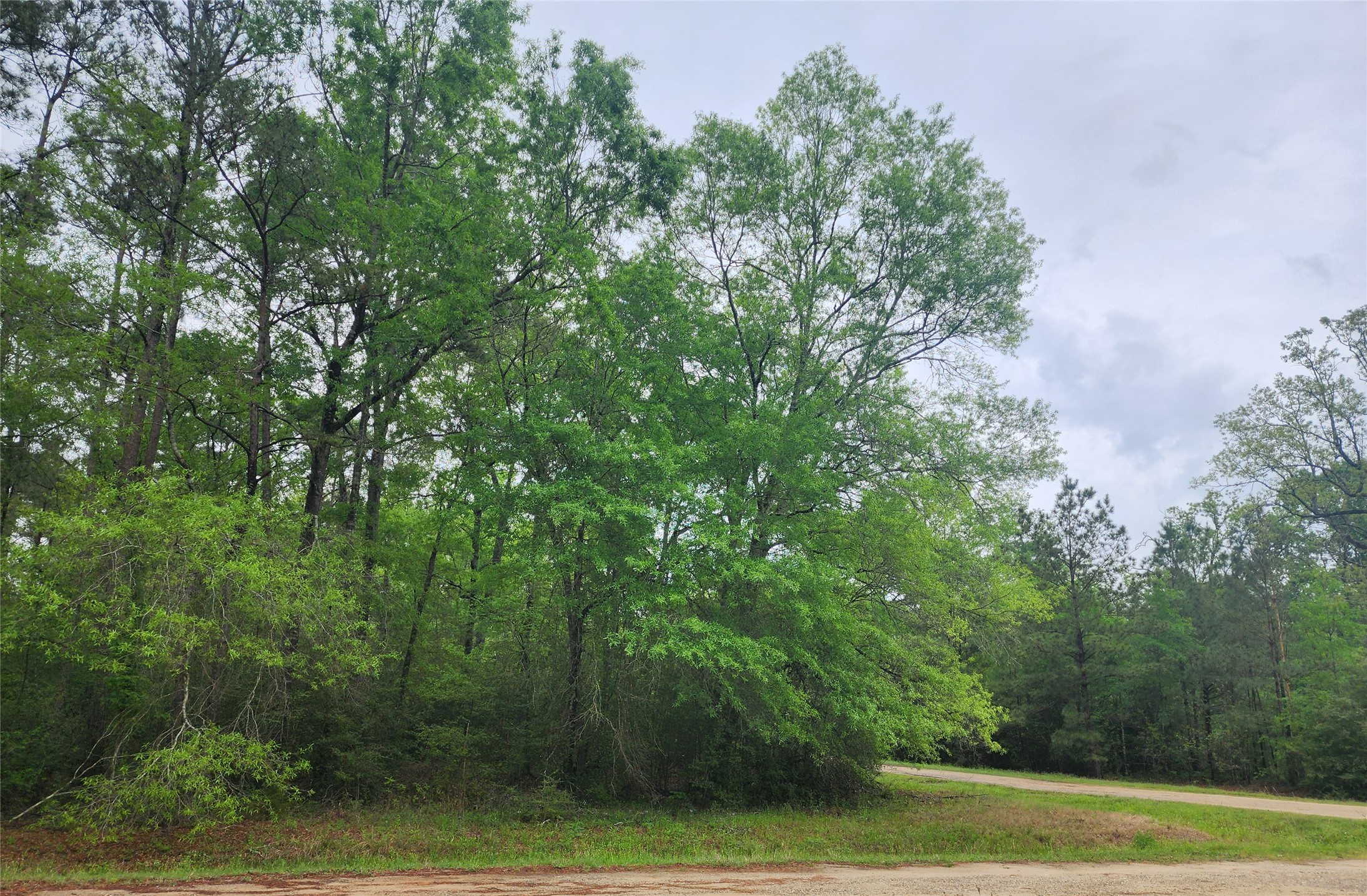 Tbd Cloverdale Property Photo 1