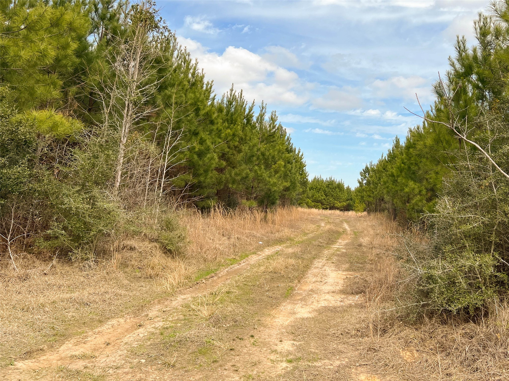 00 Fm 1746 Property Photo 6