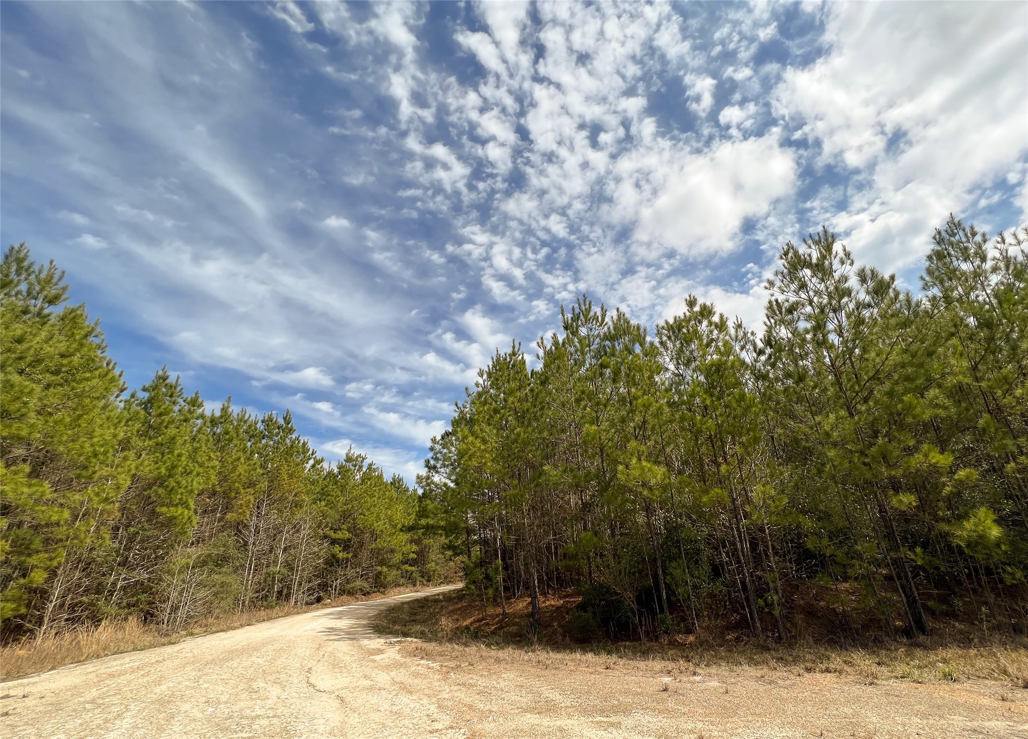 00 Fm 1746 Property Photo 14