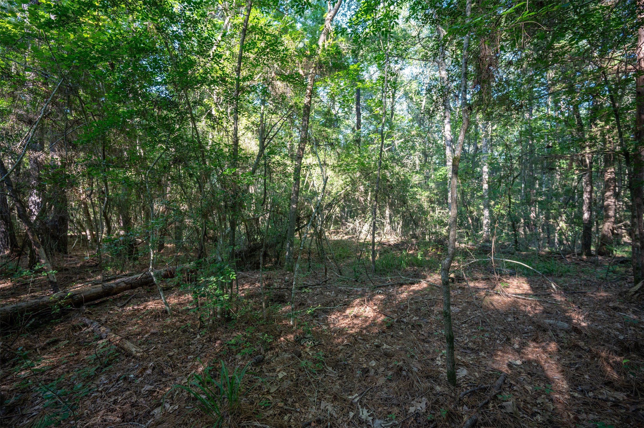 Tbd C R 3000 Property Photo