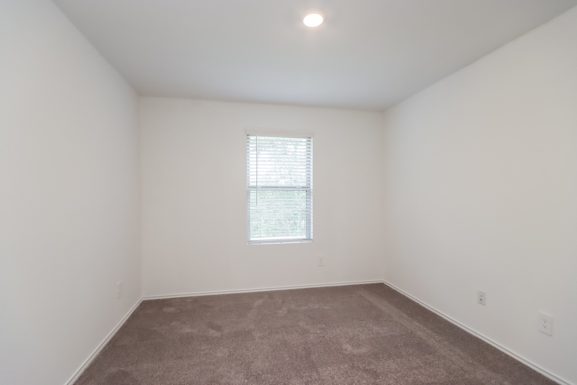 3731 Solanum Drive Property Photo 13