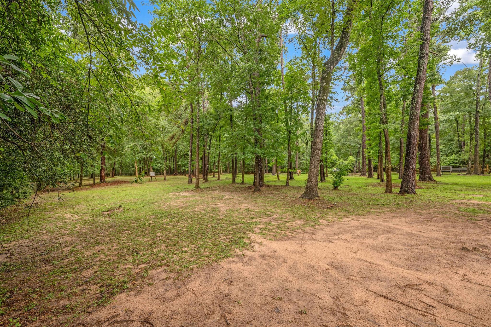 17203 Gold Panning Court, Magnolia Tx 77355 Property Photo 10