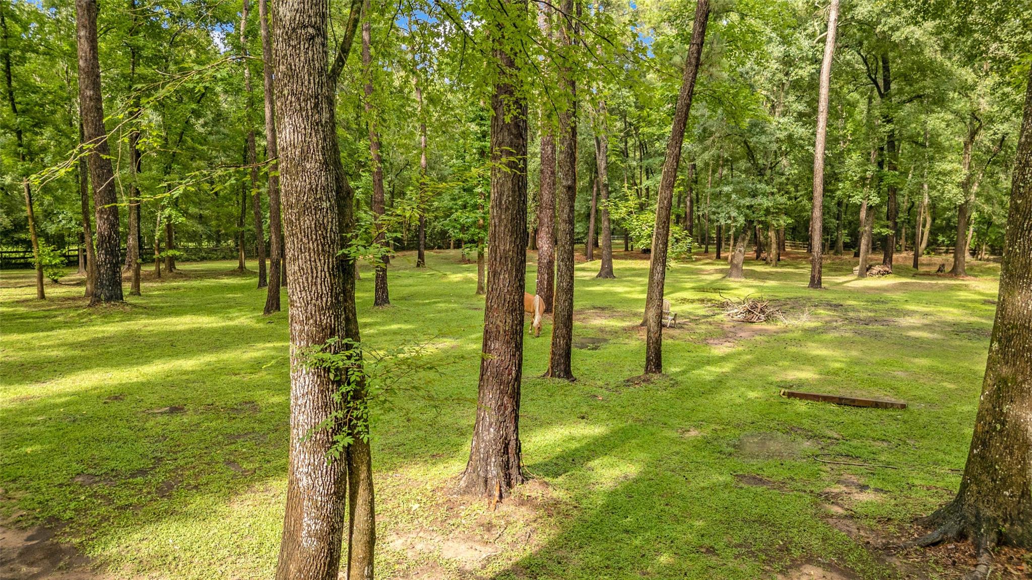17203 Gold Panning Court, Magnolia Tx 77355 Property Photo 26