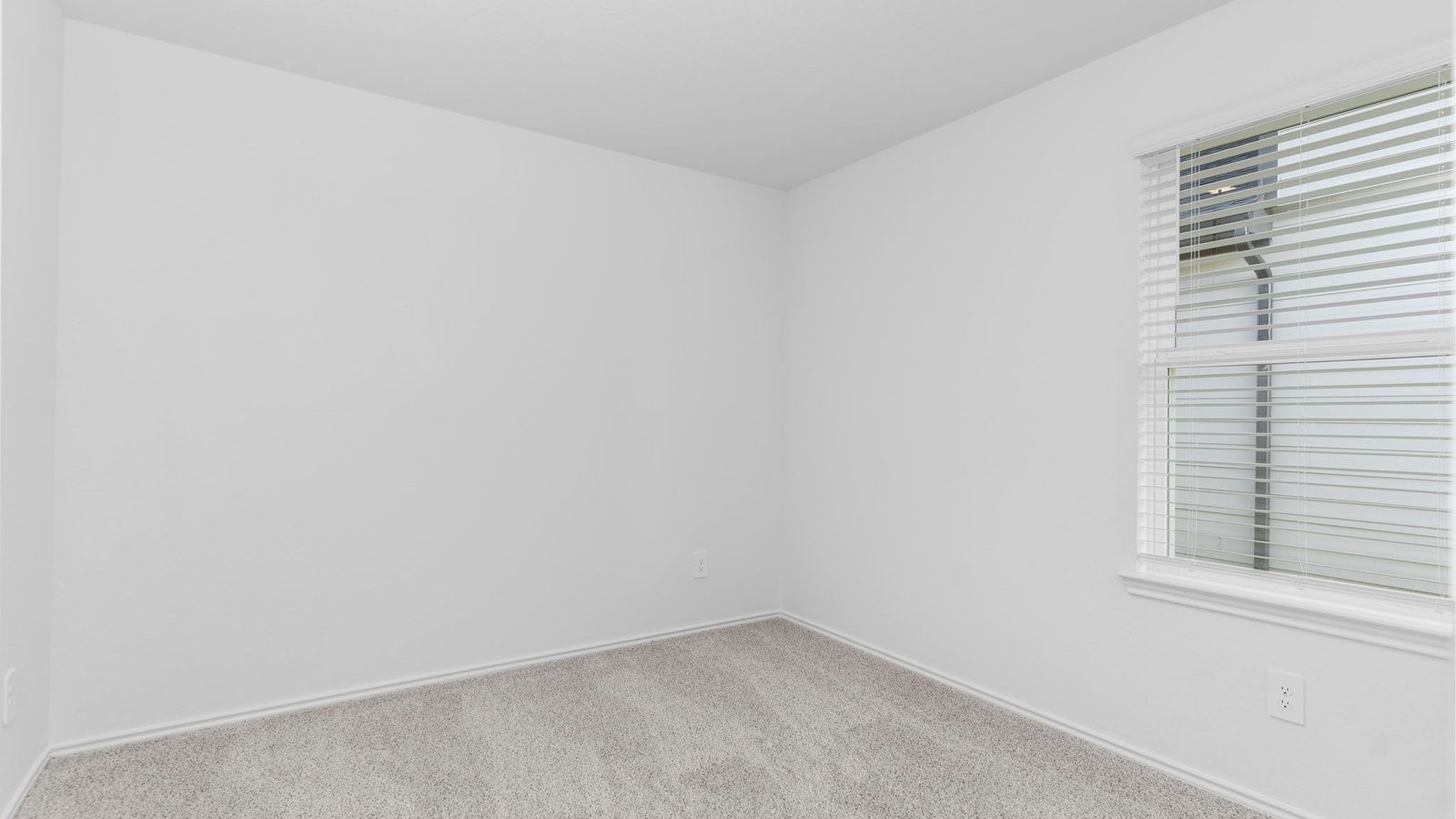 7935 Cavour Drive Property Photo 9