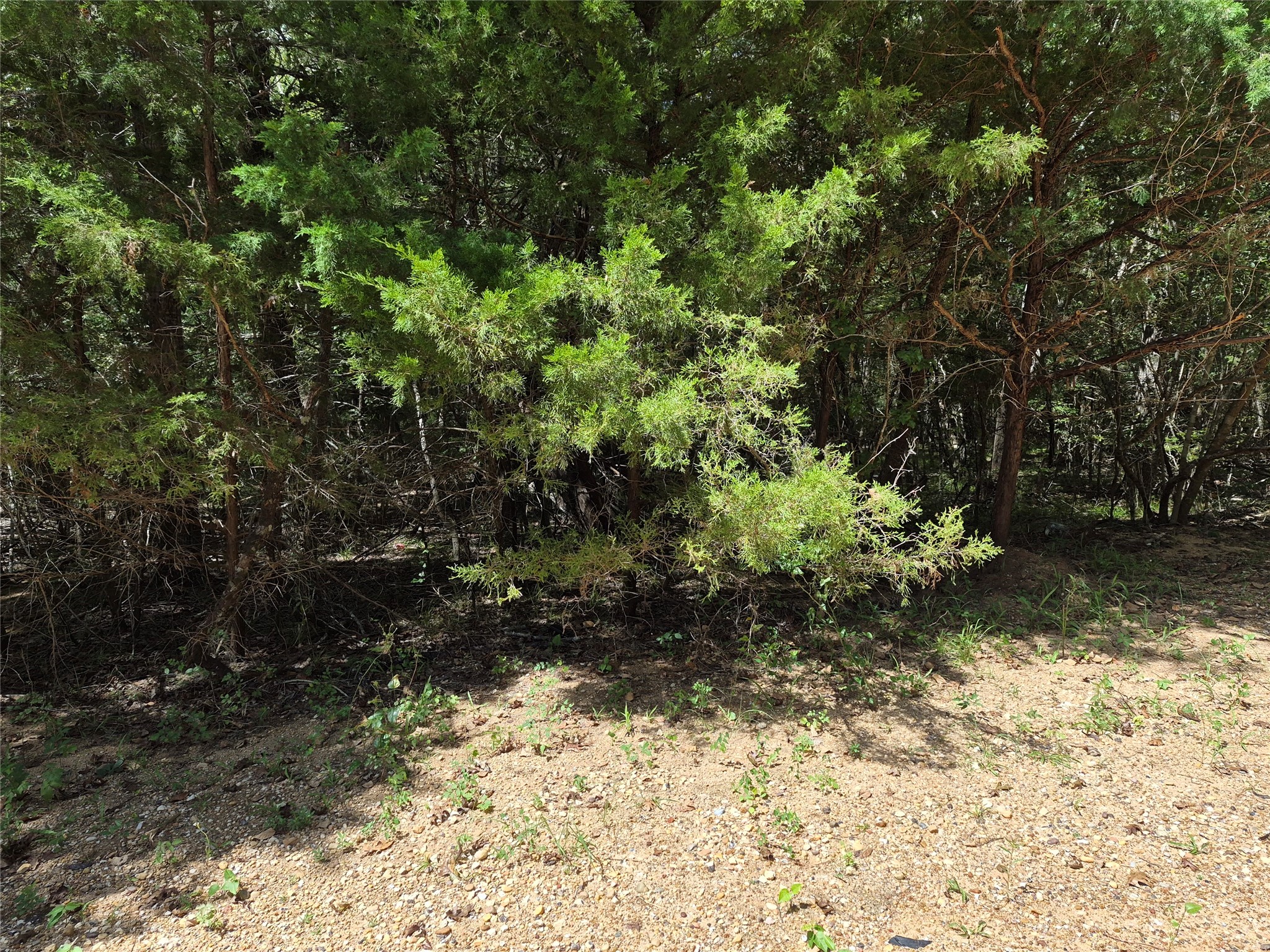 Tbd Valley Dr Property Photo 3