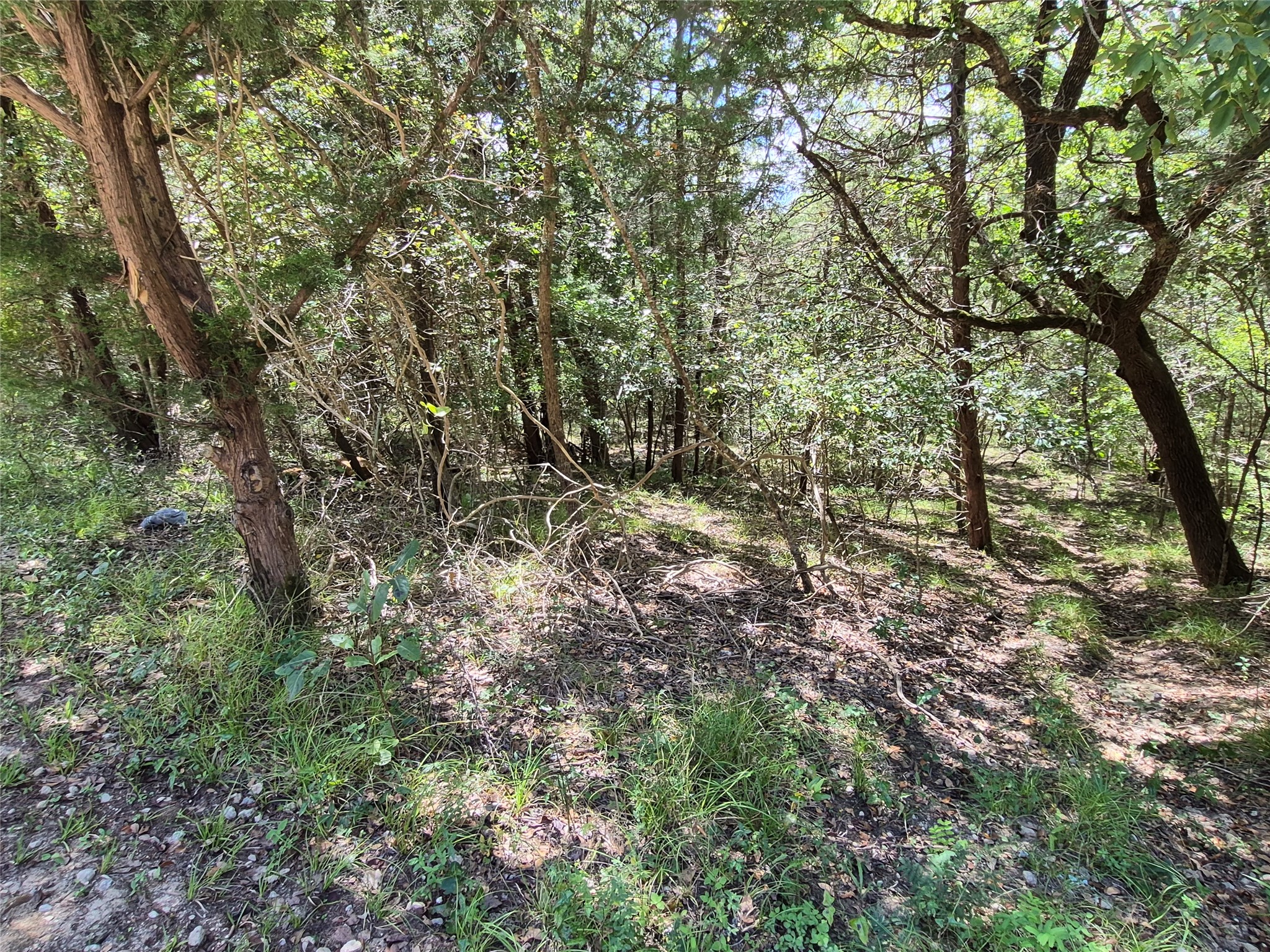 Tbd Valley Dr Property Photo 4