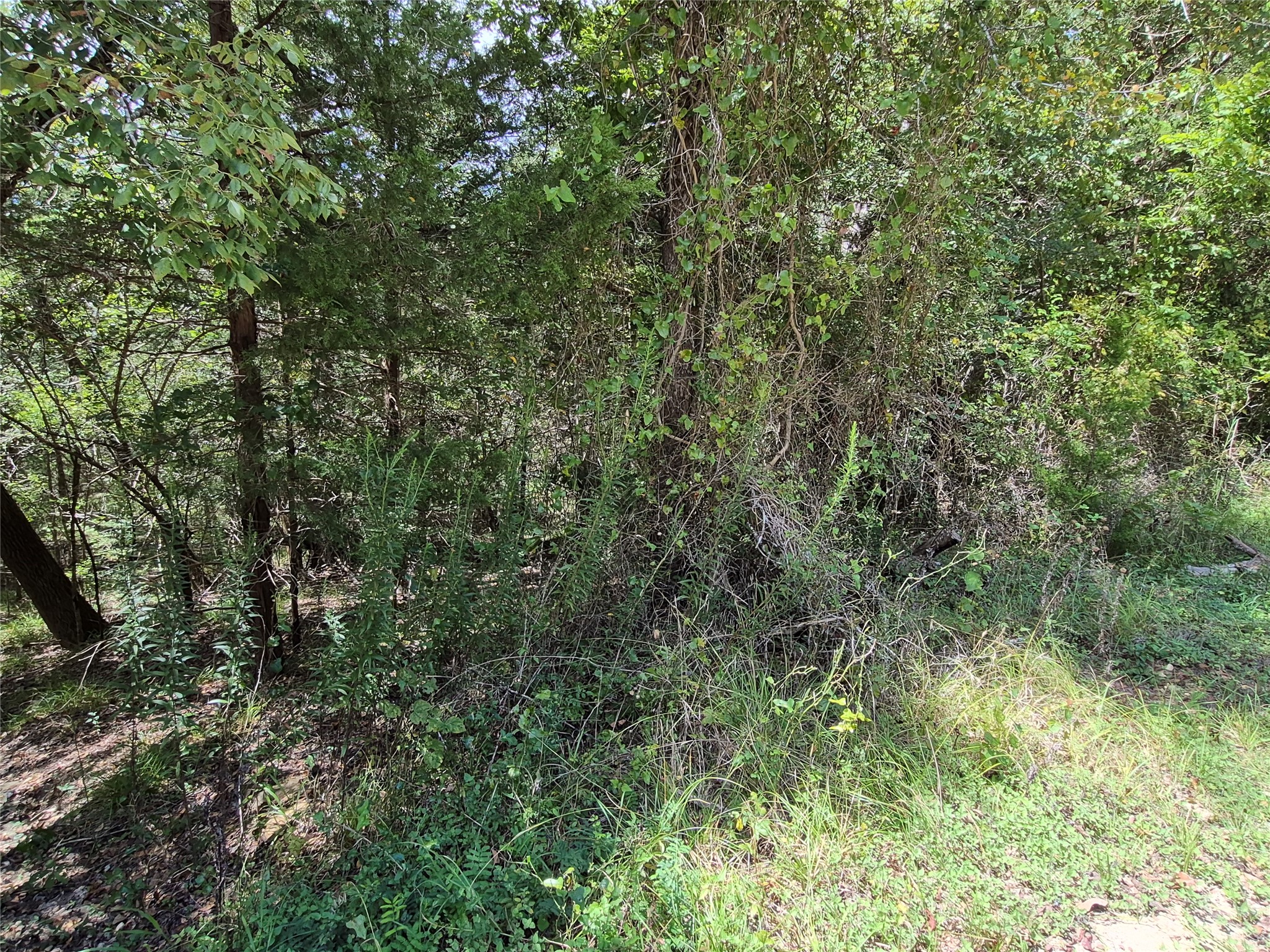 Tbd Valley Dr Property Photo 5