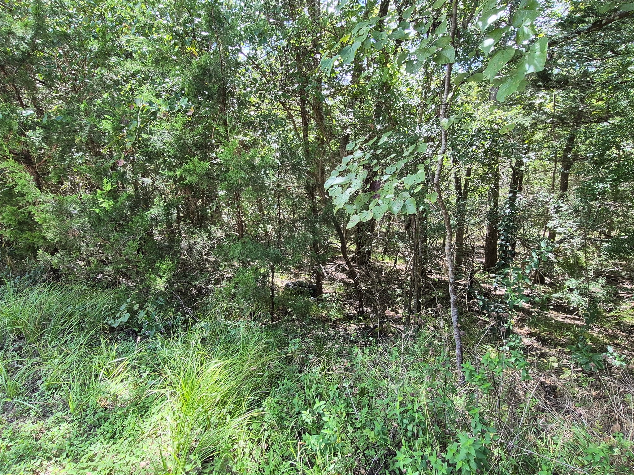 Tbd Valley Dr Property Photo 6