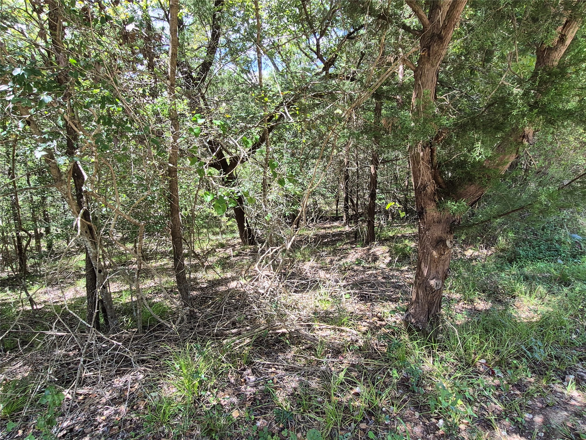 Tbd Valley Dr Property Photo 8