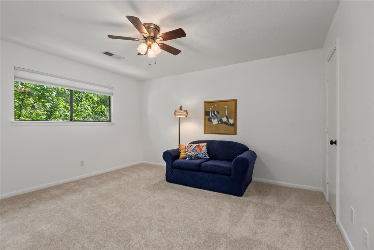 10 Cape Chestnut Drive Property Photo 23