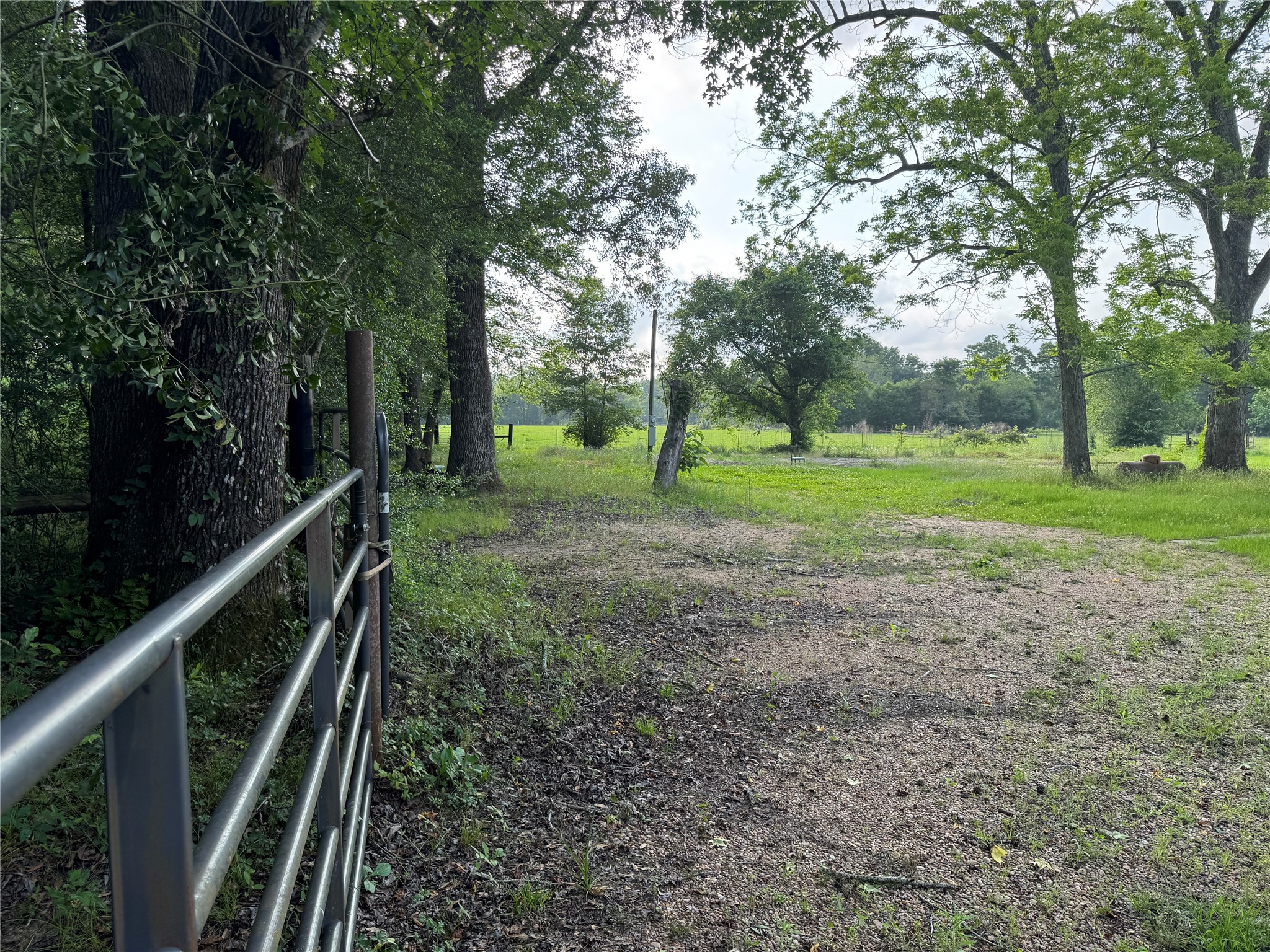 14486 Fm 787 Road W Property Photo 5