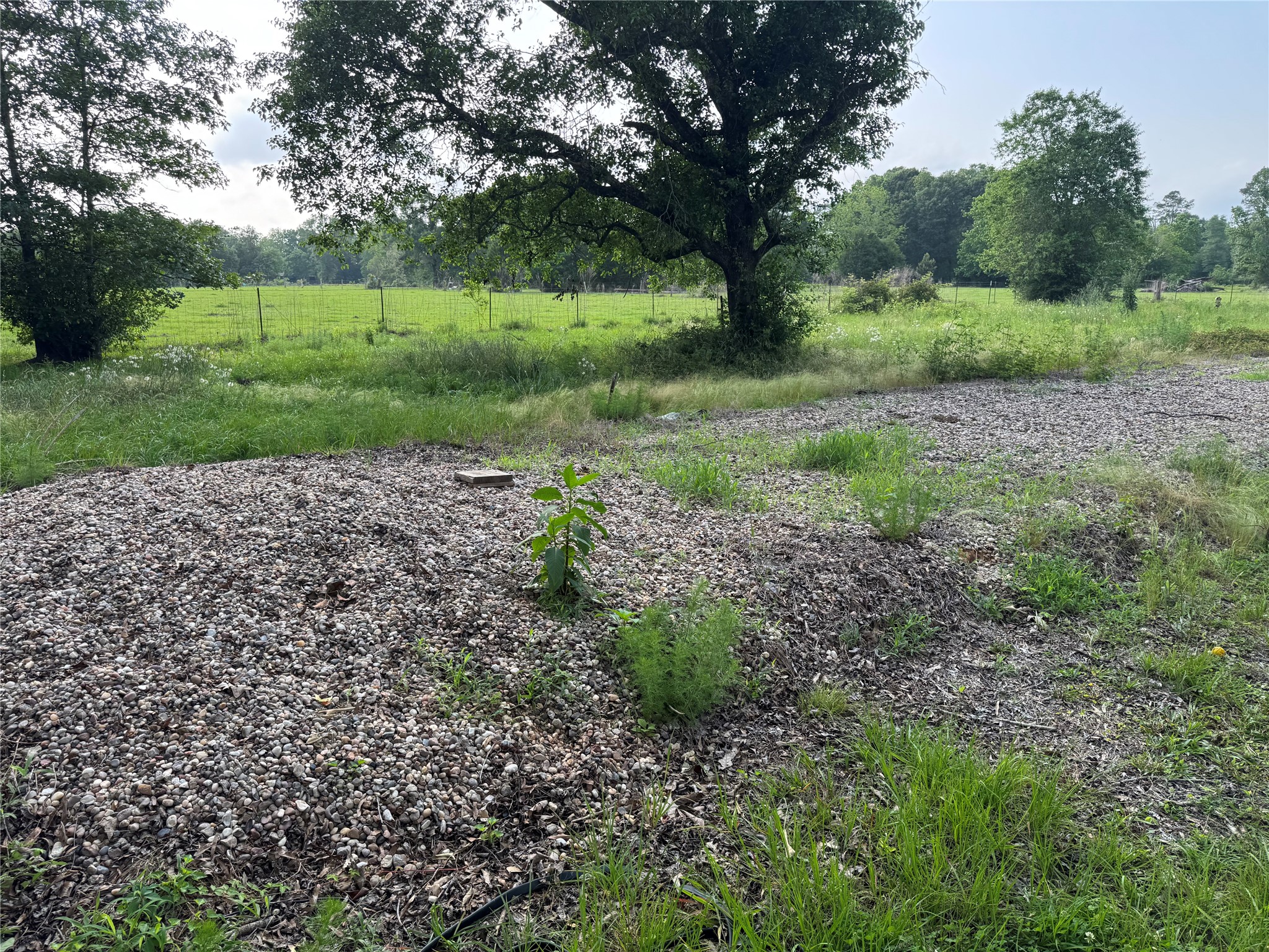 14486 Fm 787 Road W Property Photo 15
