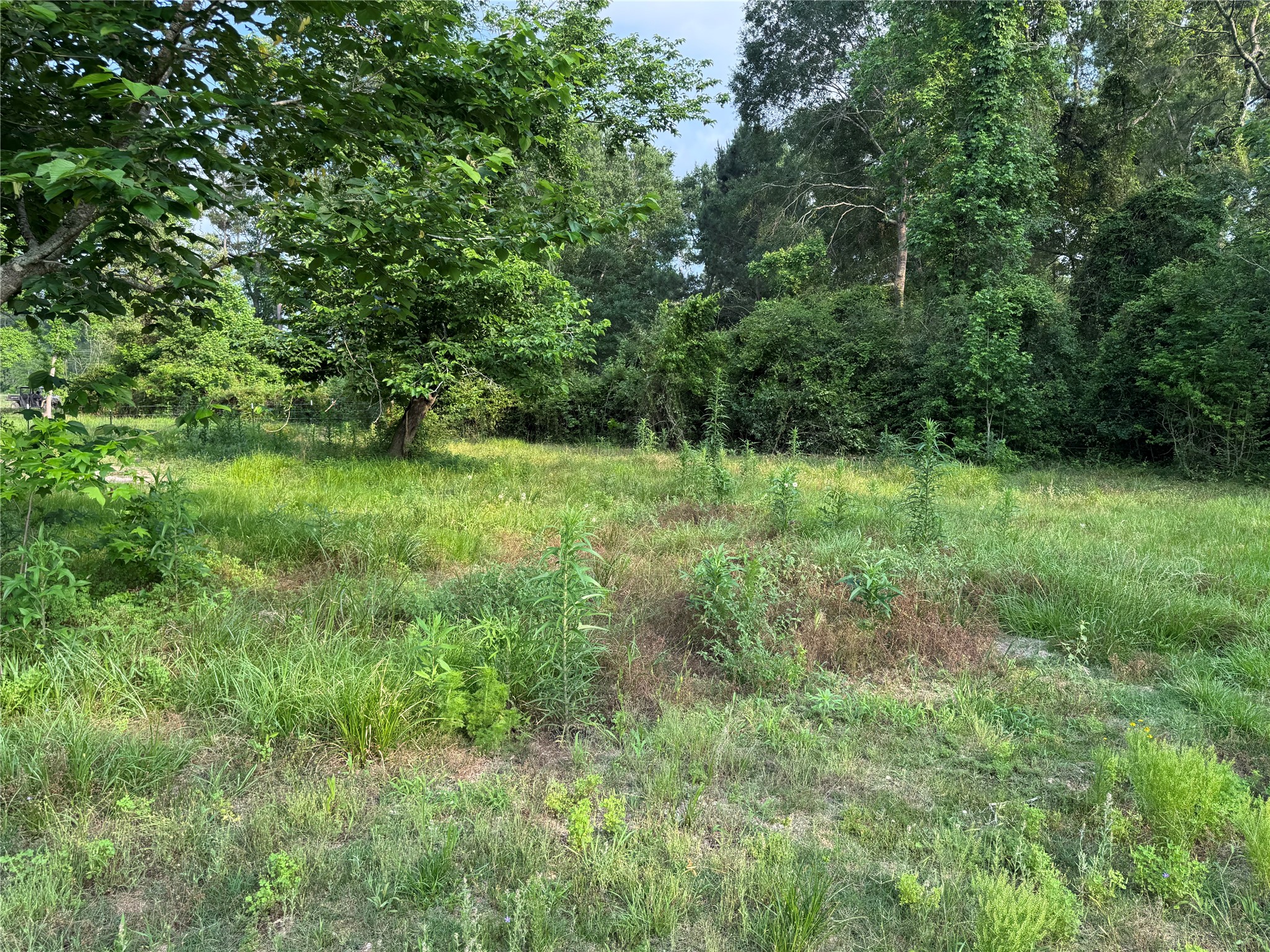14486 Fm 787 Road W Property Photo 16