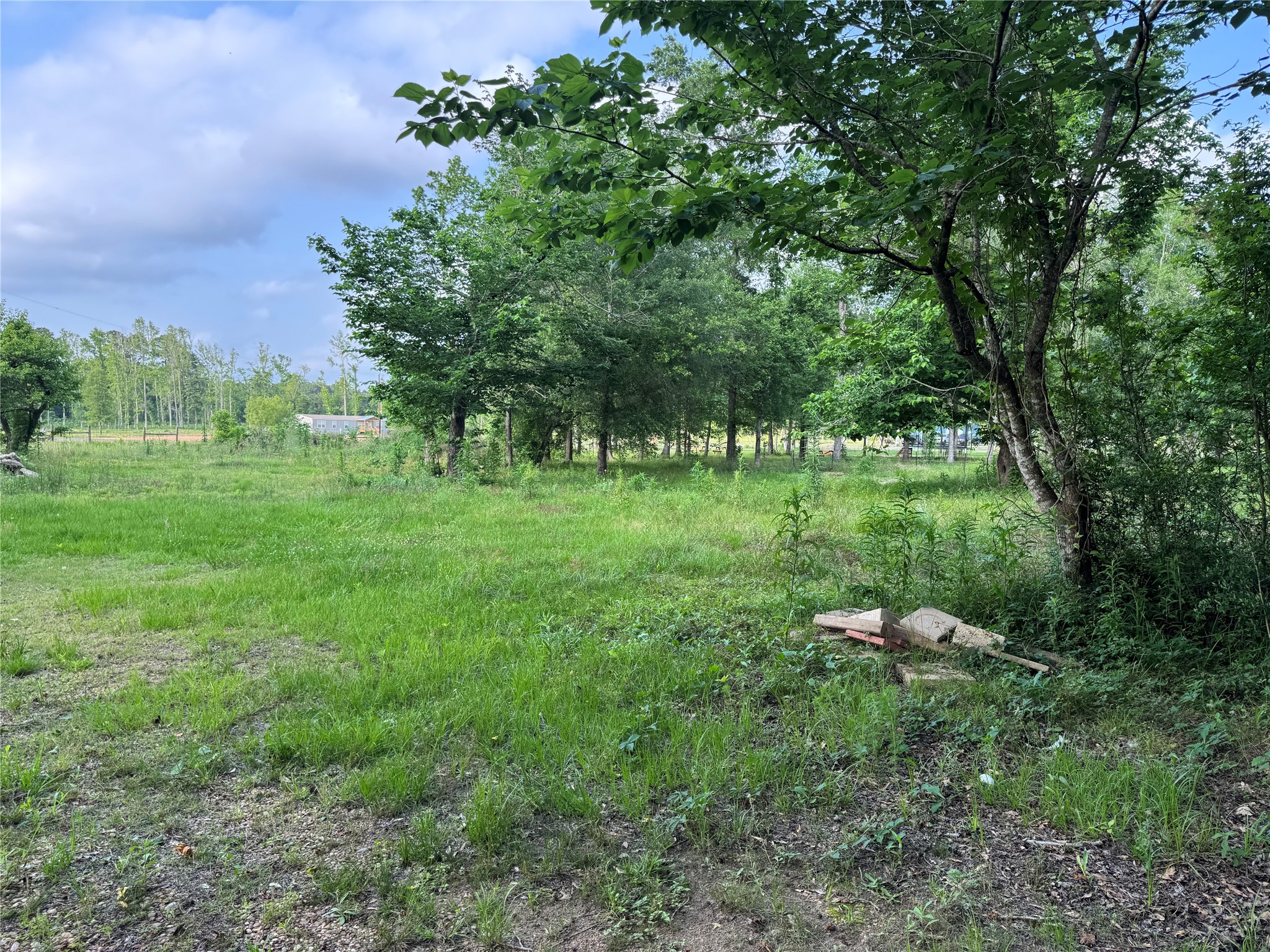 14486 Fm 787 Road W Property Photo 17