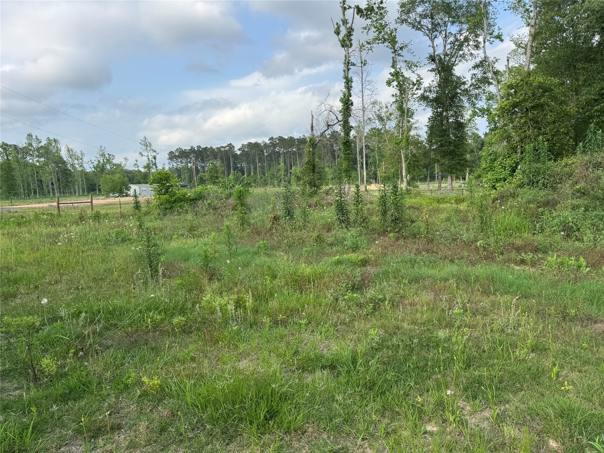 14486 Fm 787 Road W Property Photo 18