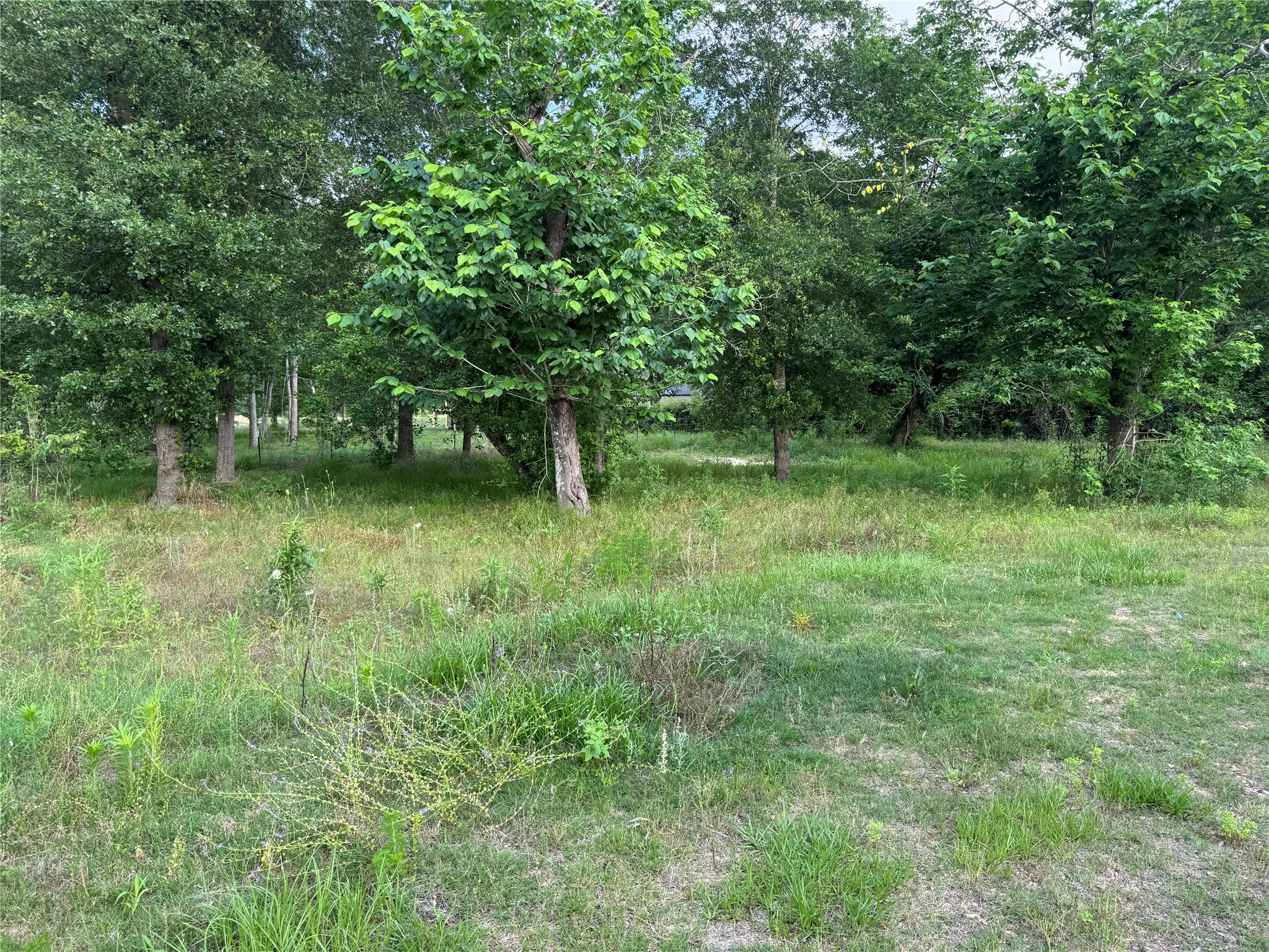 14486 Fm 787 Road W Property Photo 19