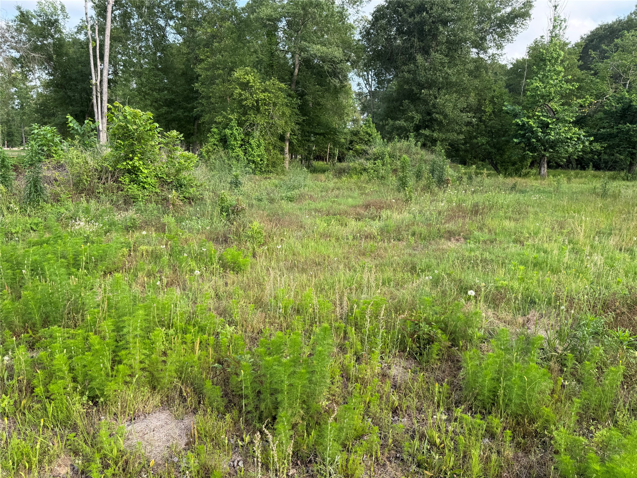 14486 Fm 787 Road W Property Photo 22