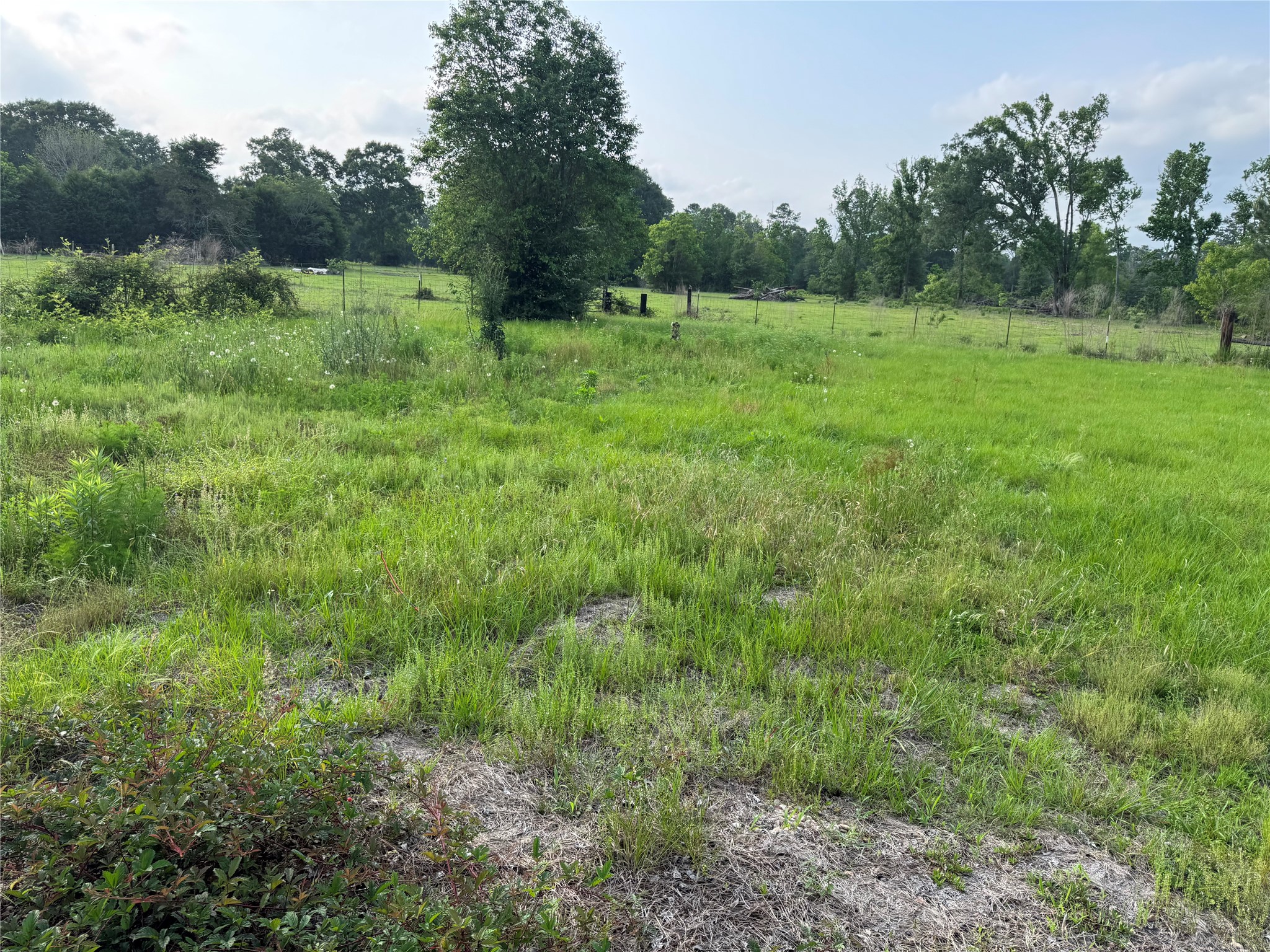 14486 Fm 787 Road W Property Photo 25