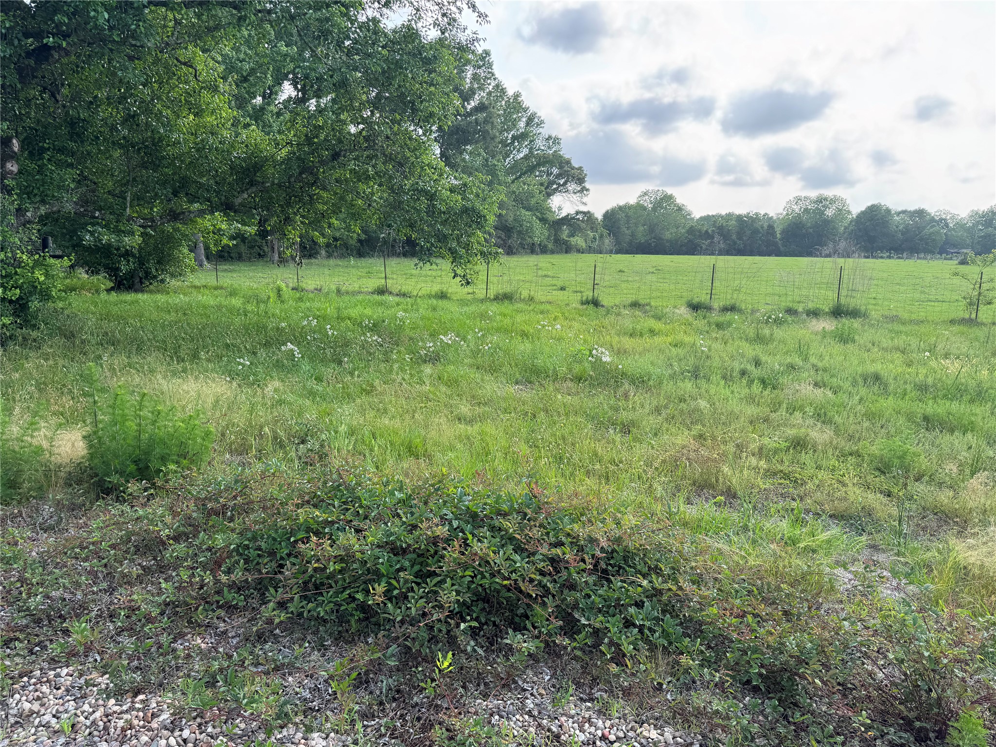 14486 Fm 787 Road W Property Photo 26