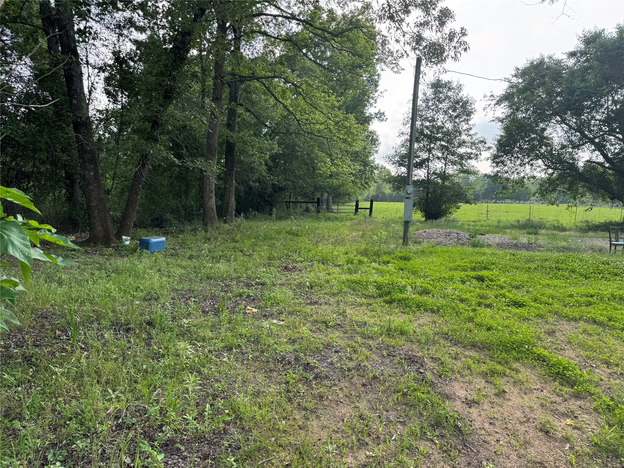 14486 Fm 787 Road W Property Photo 28
