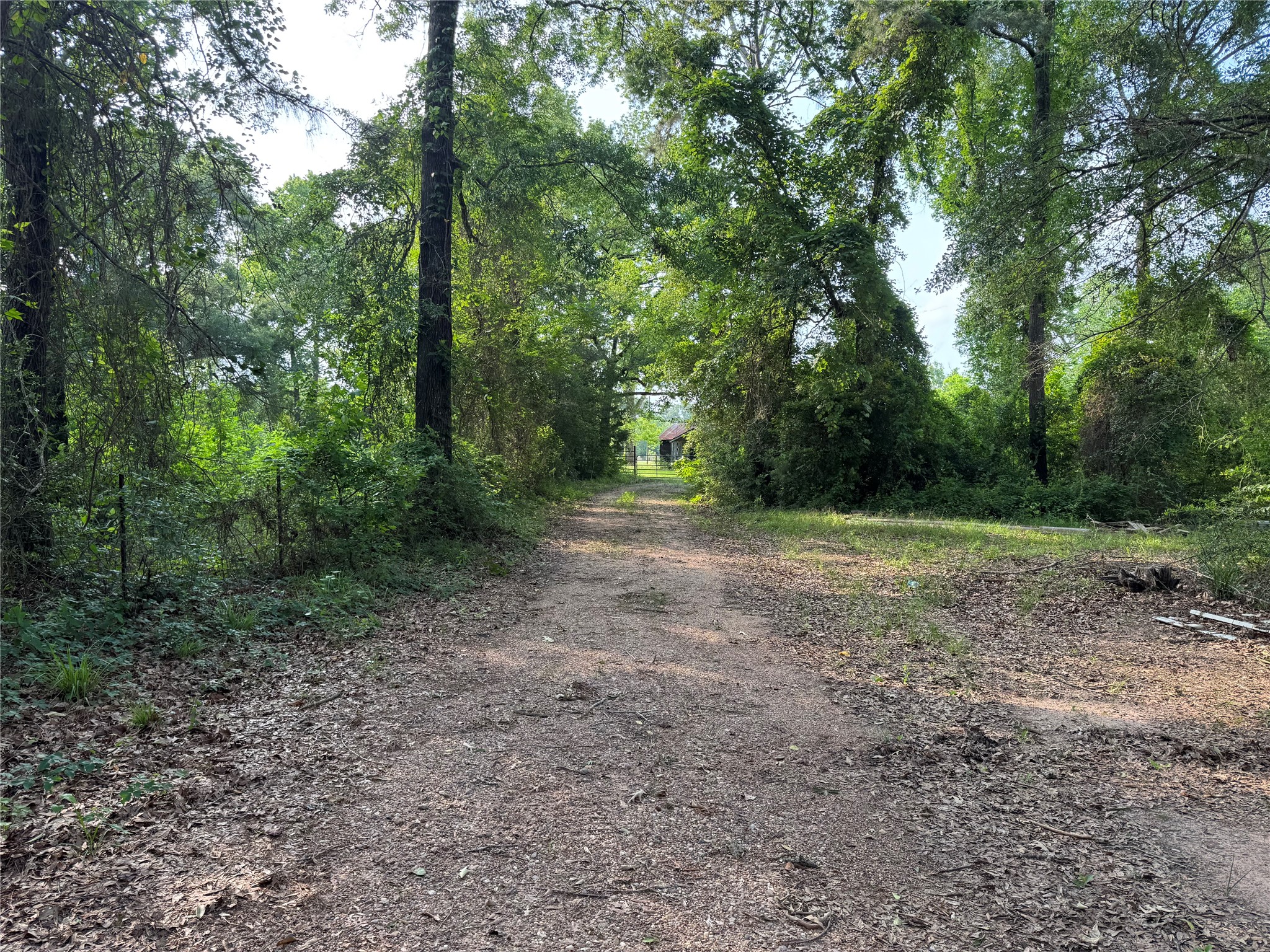 14486 Fm 787 Road W Property Photo 31