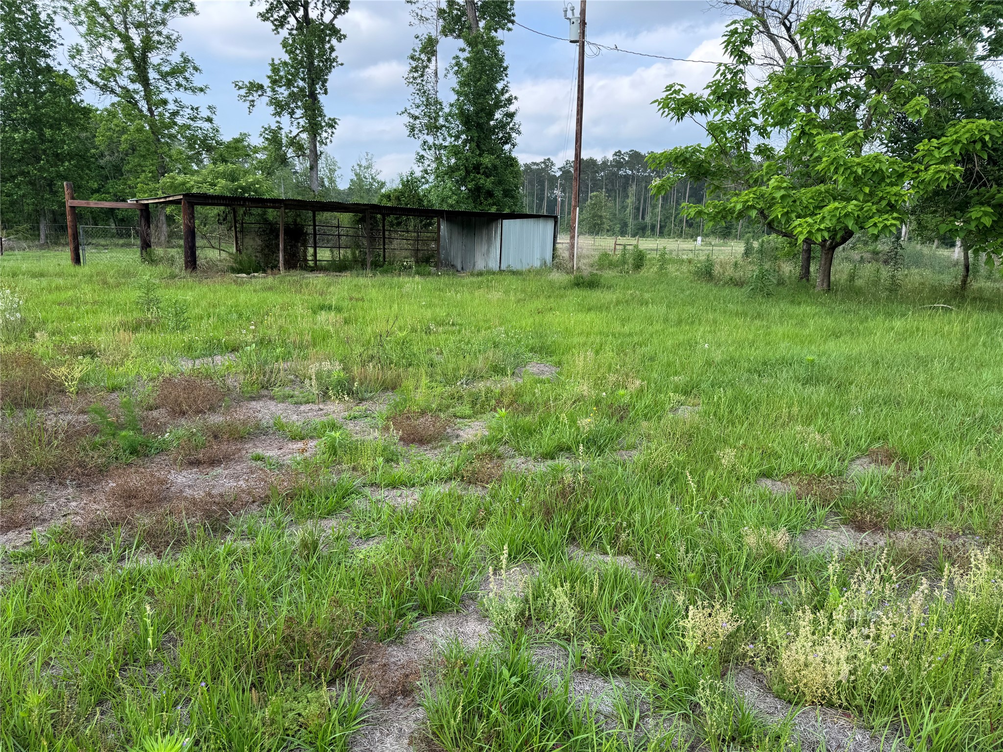 14486 Fm 787 Road W Property Photo 34