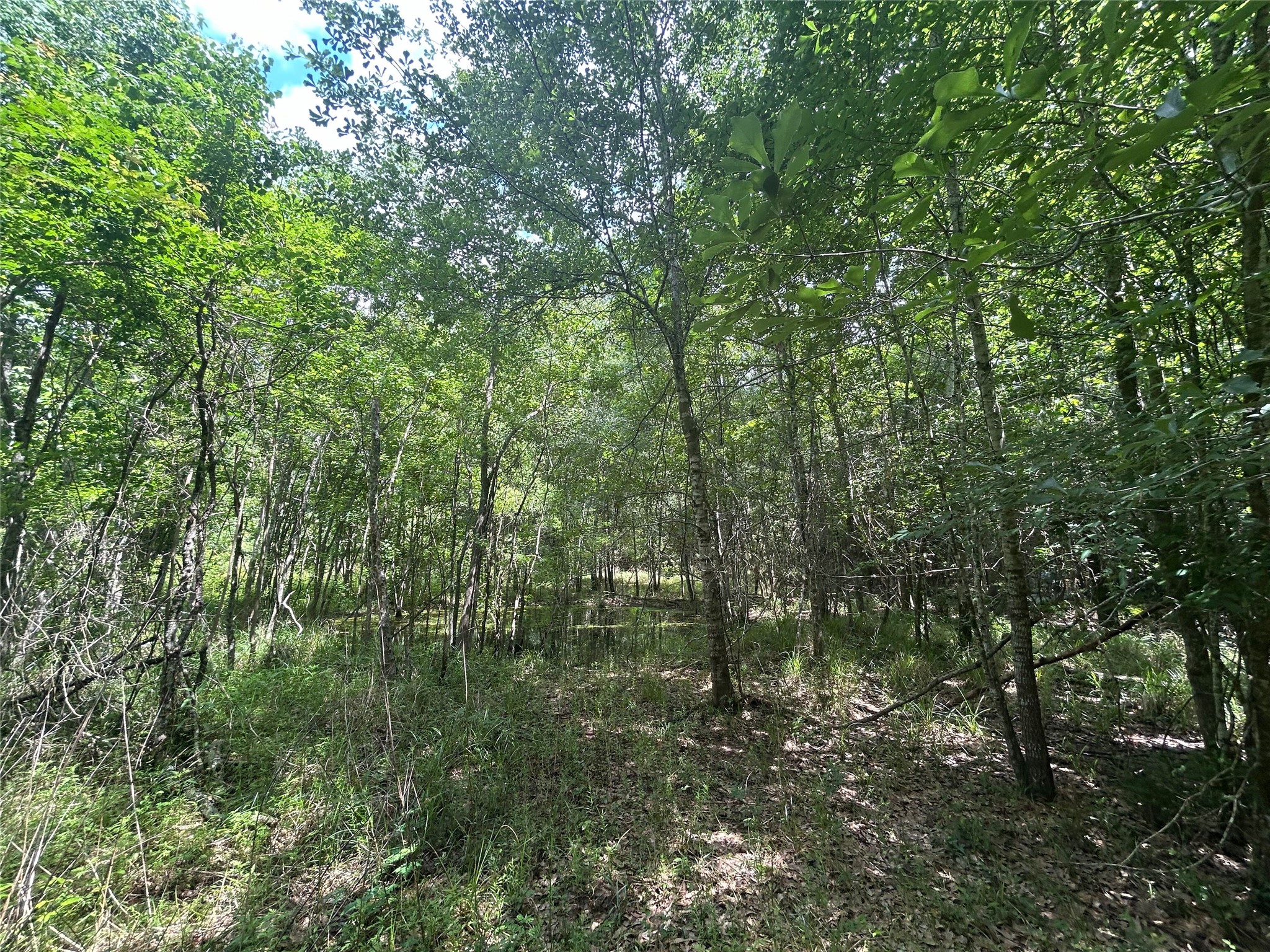26702 Apache Trail Property Photo 4