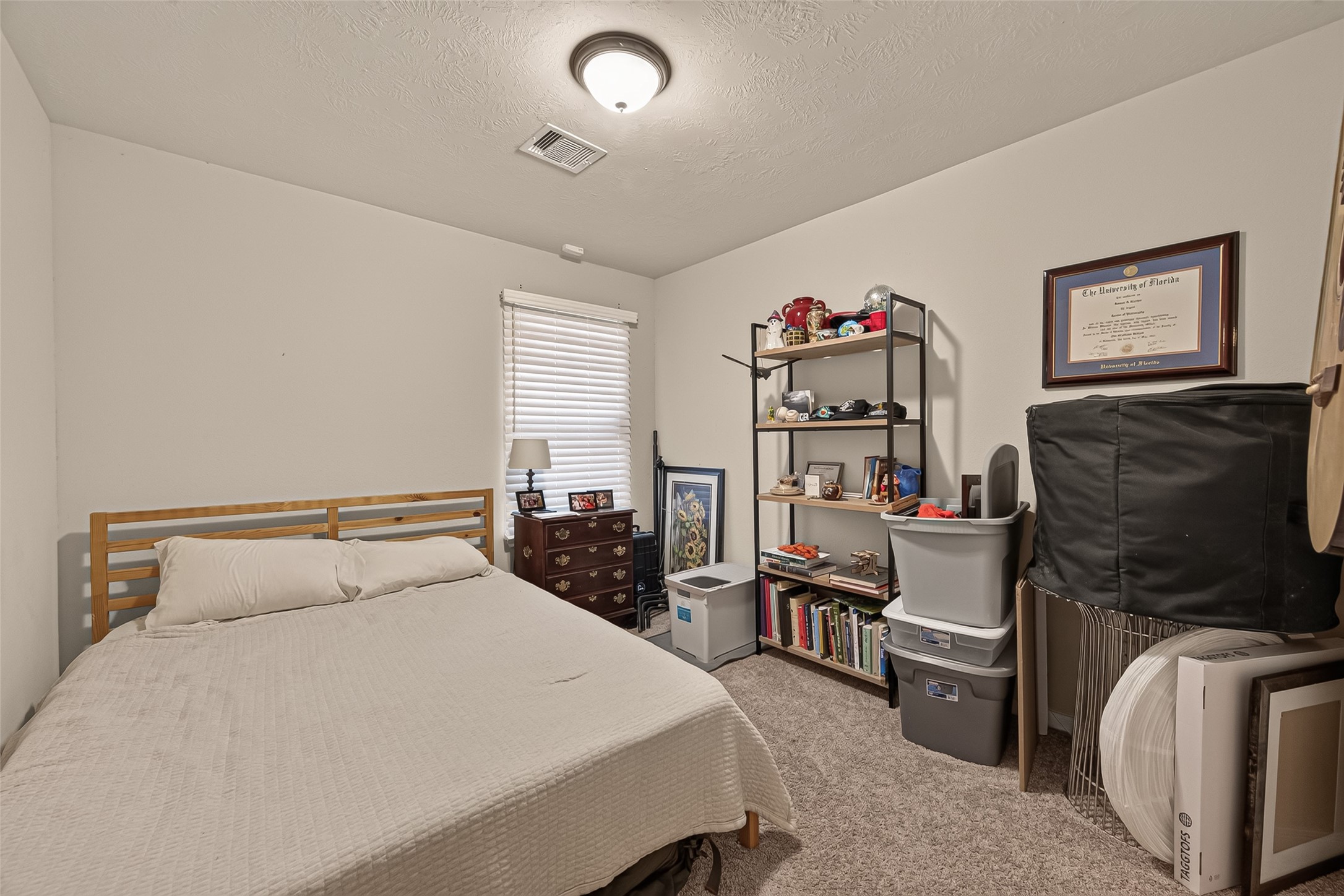 3710 Mcgowen Street Property Photo 17