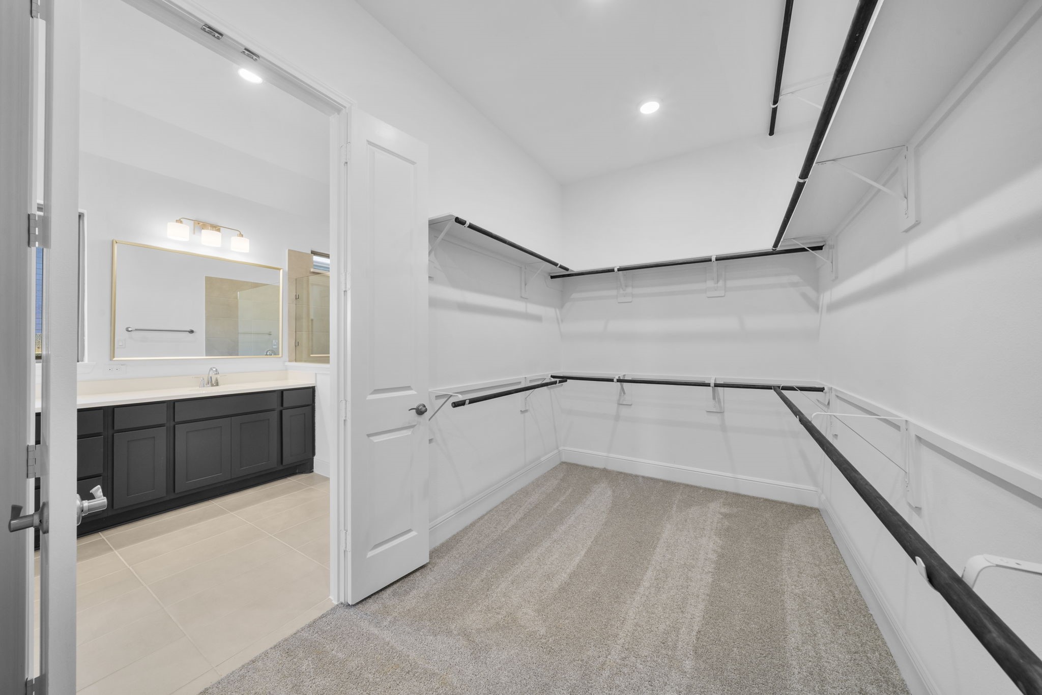 10290 Bluegill Crest Drive Property Photo 23