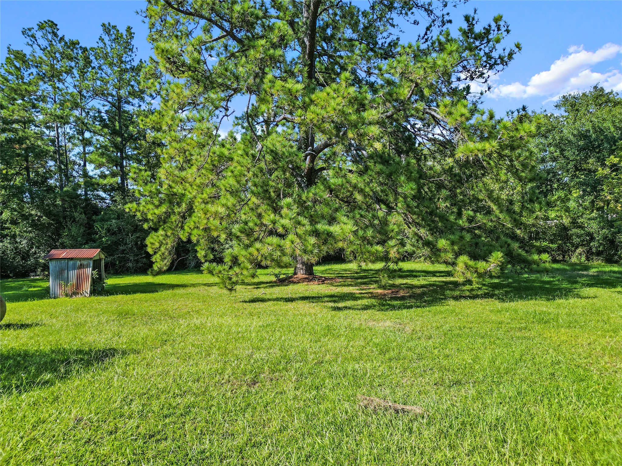 4016 State Highway 30 W Property Photo 24